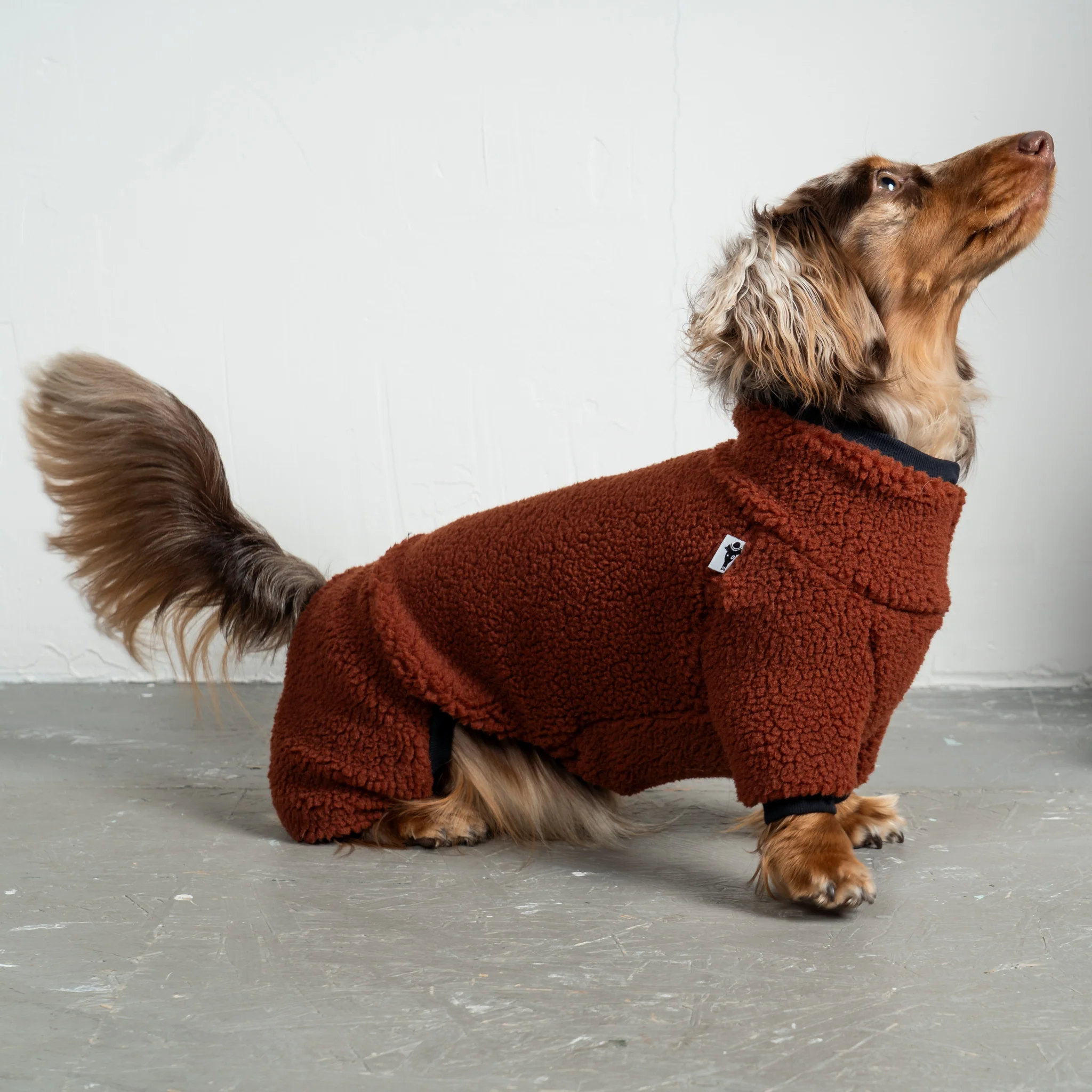 TEDDY OVERALL Dackel Brown - Image 5