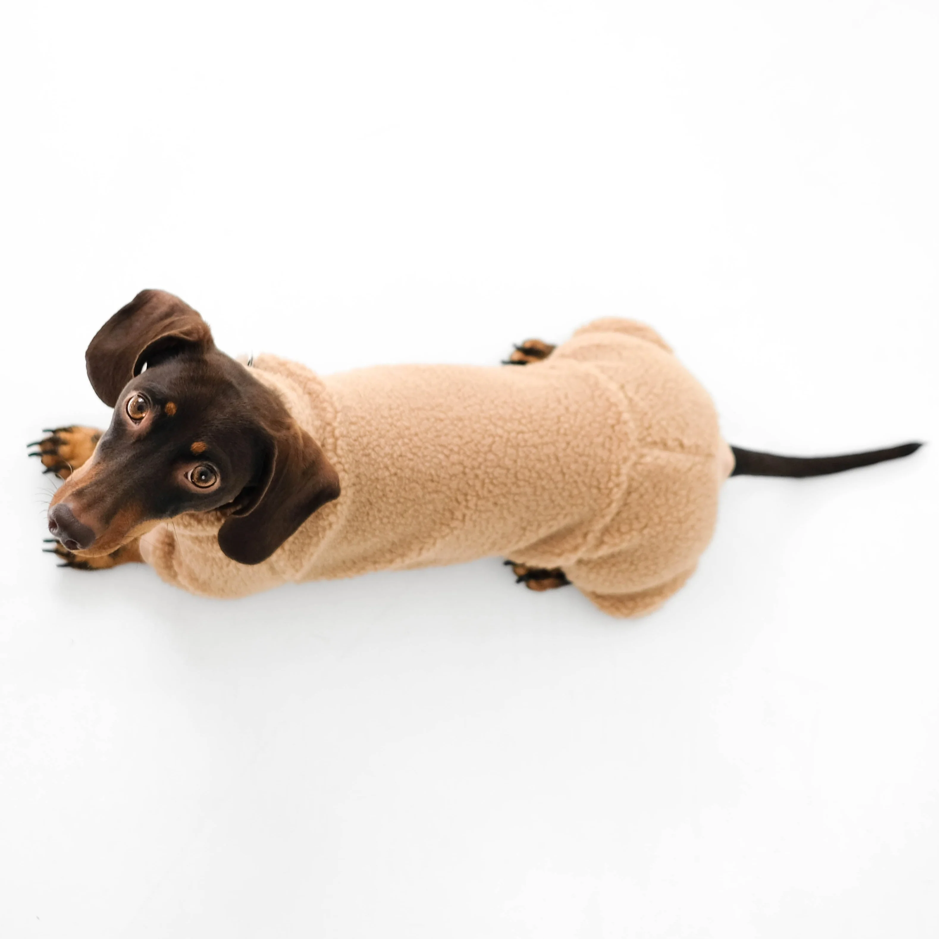 TEDDY OVERALL Dackel Camel - Image 4