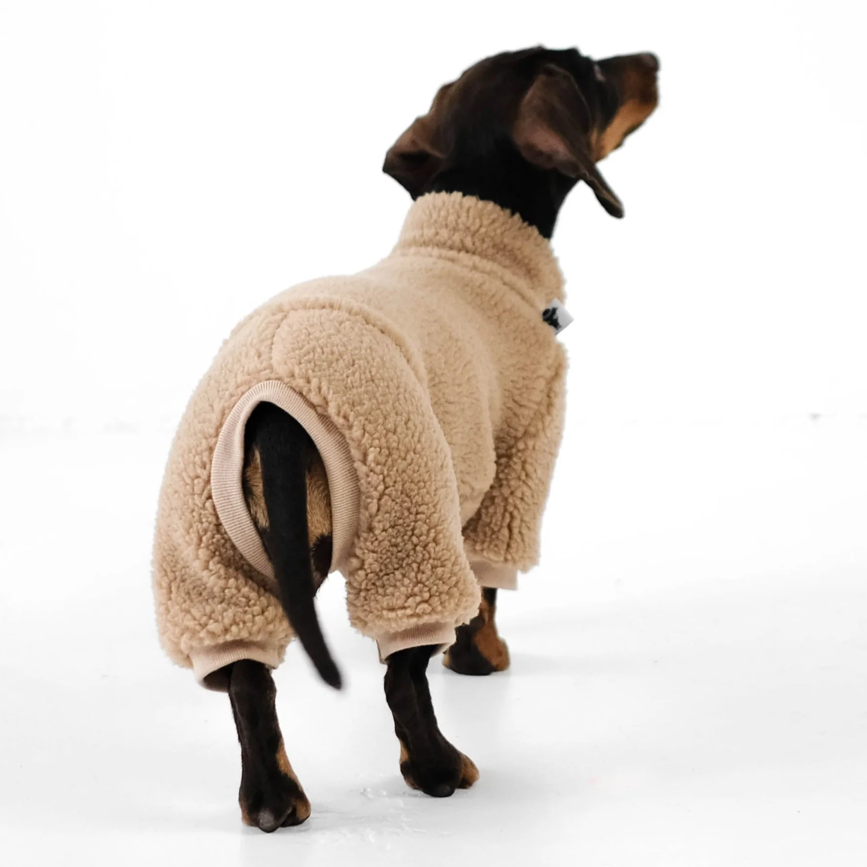 TEDDY OVERALL Dackel Camel - Image 5
