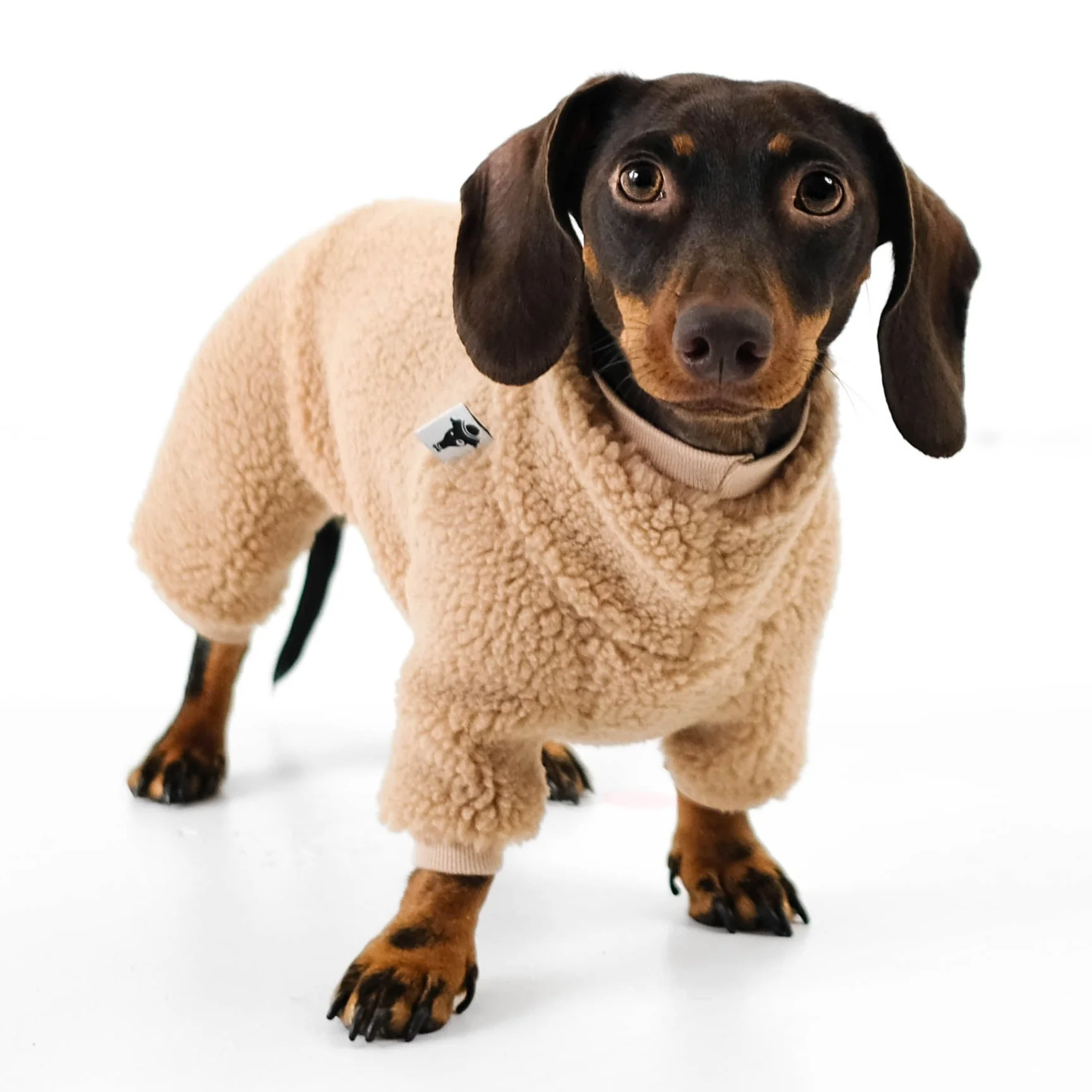 TEDDY OVERALL Dackel Camel - Image 9