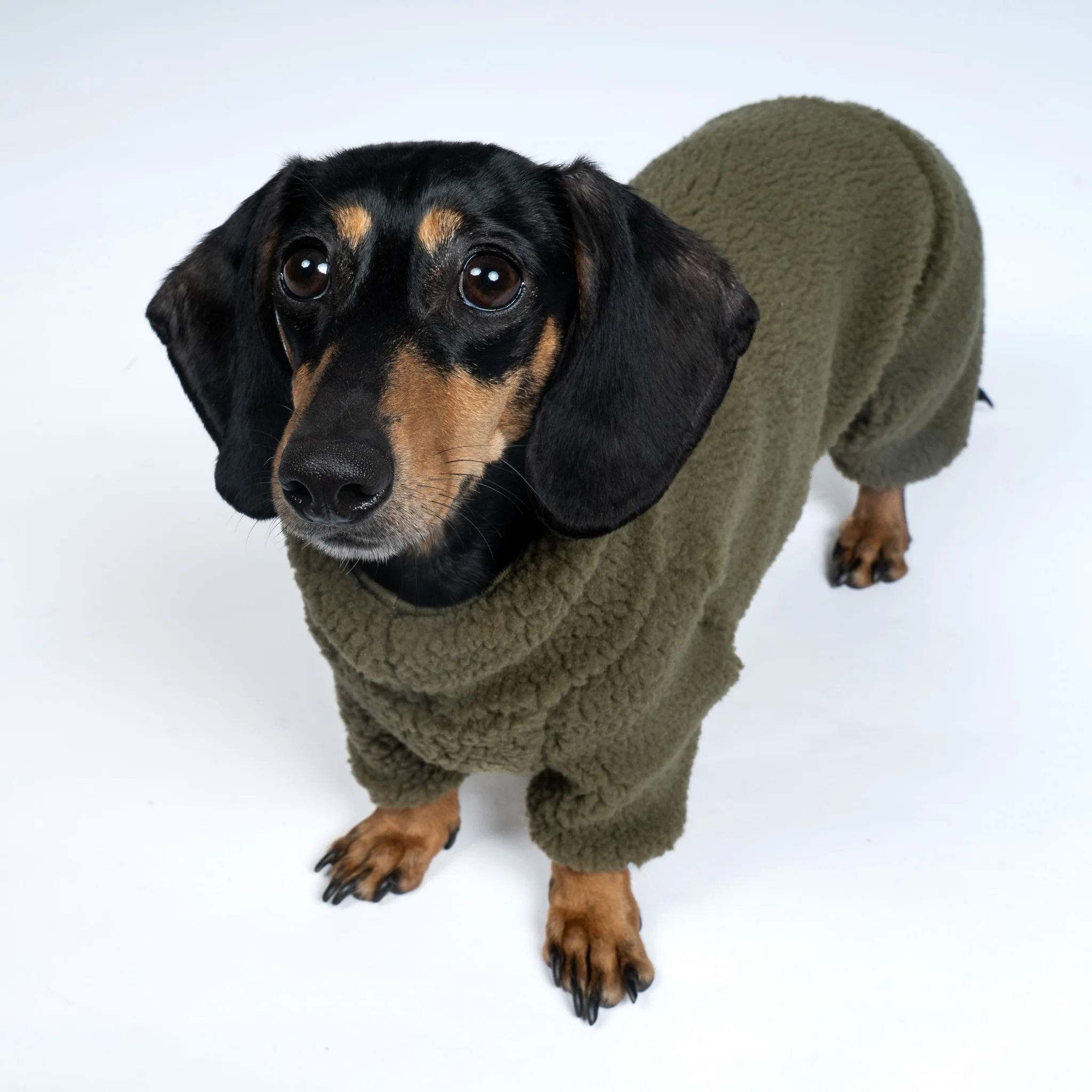 TEDDY OVERALL Dackel Dark Olive - Image 4