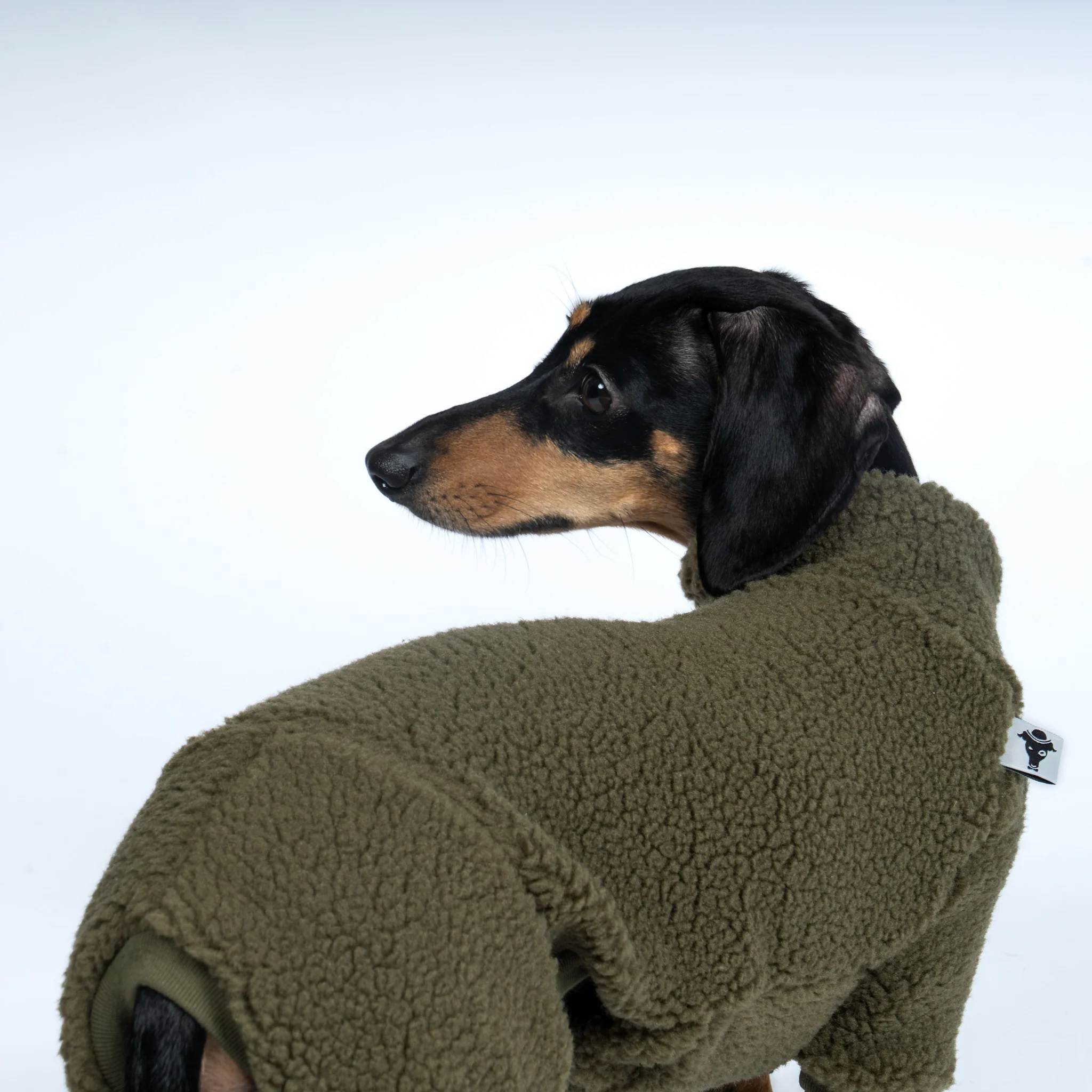 TEDDY OVERALL Dackel Dark Olive - Image 5