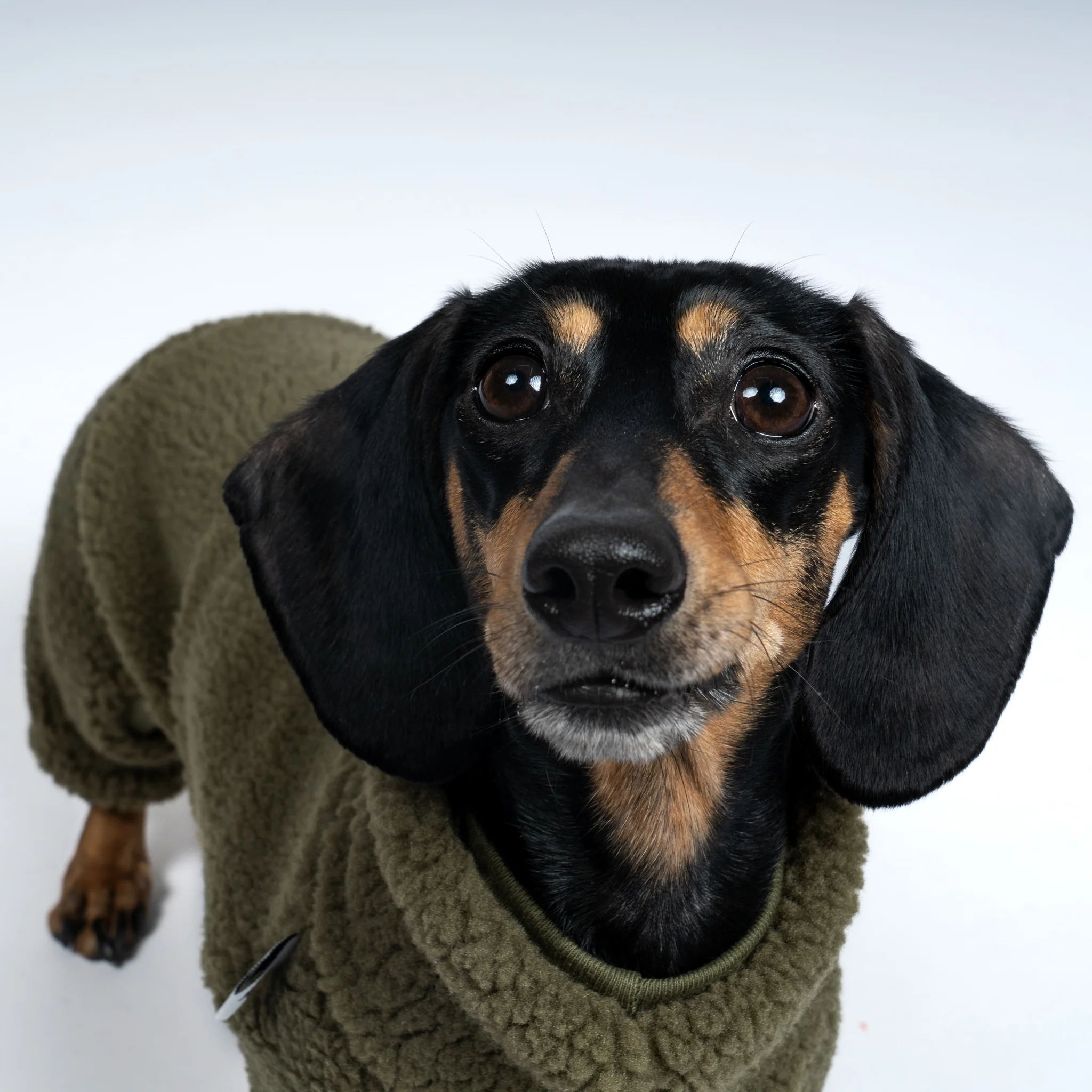TEDDY OVERALL Dackel Dark Olive - Image 7