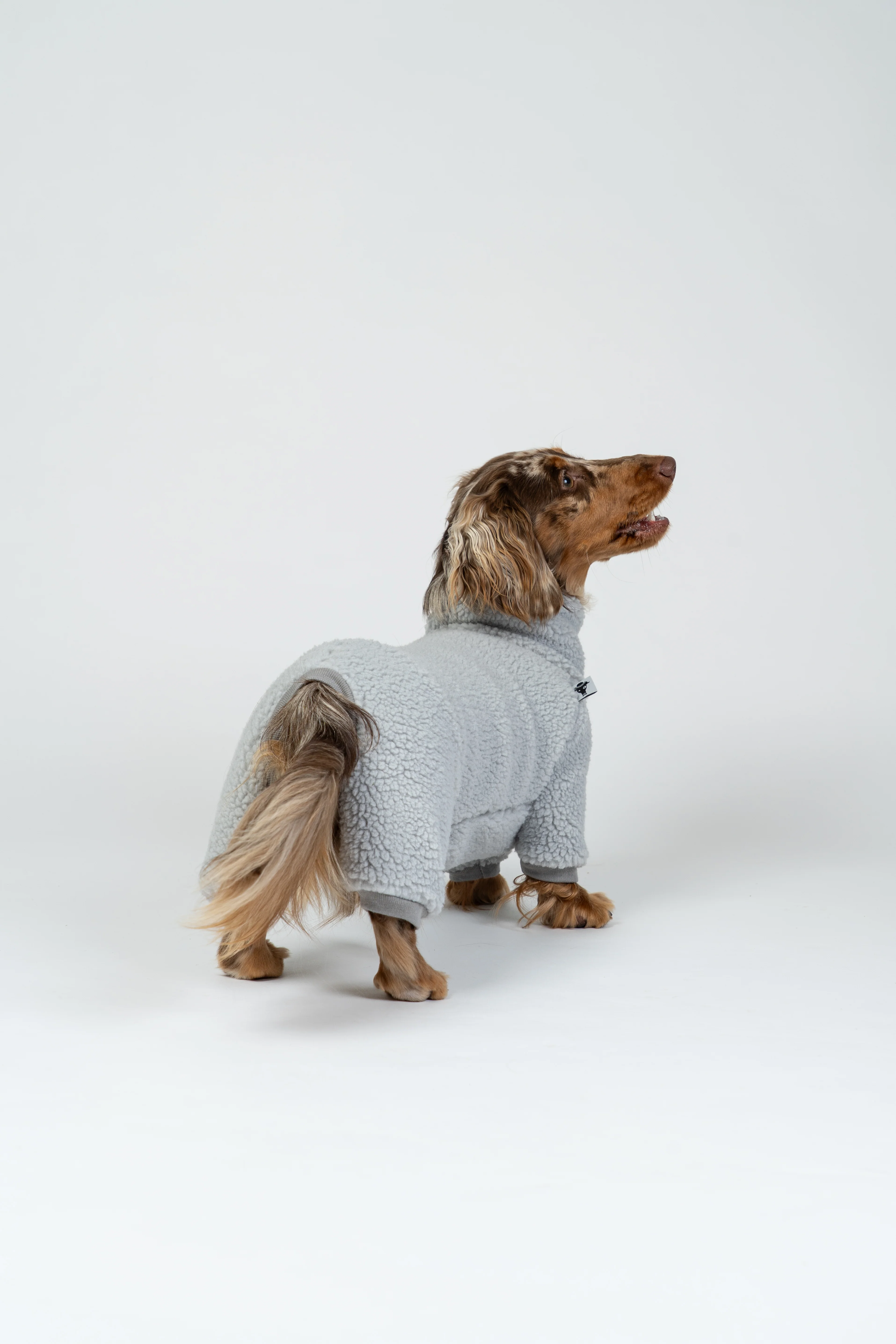 TEDDY OVERALL Dackel Light Grey - Image 6