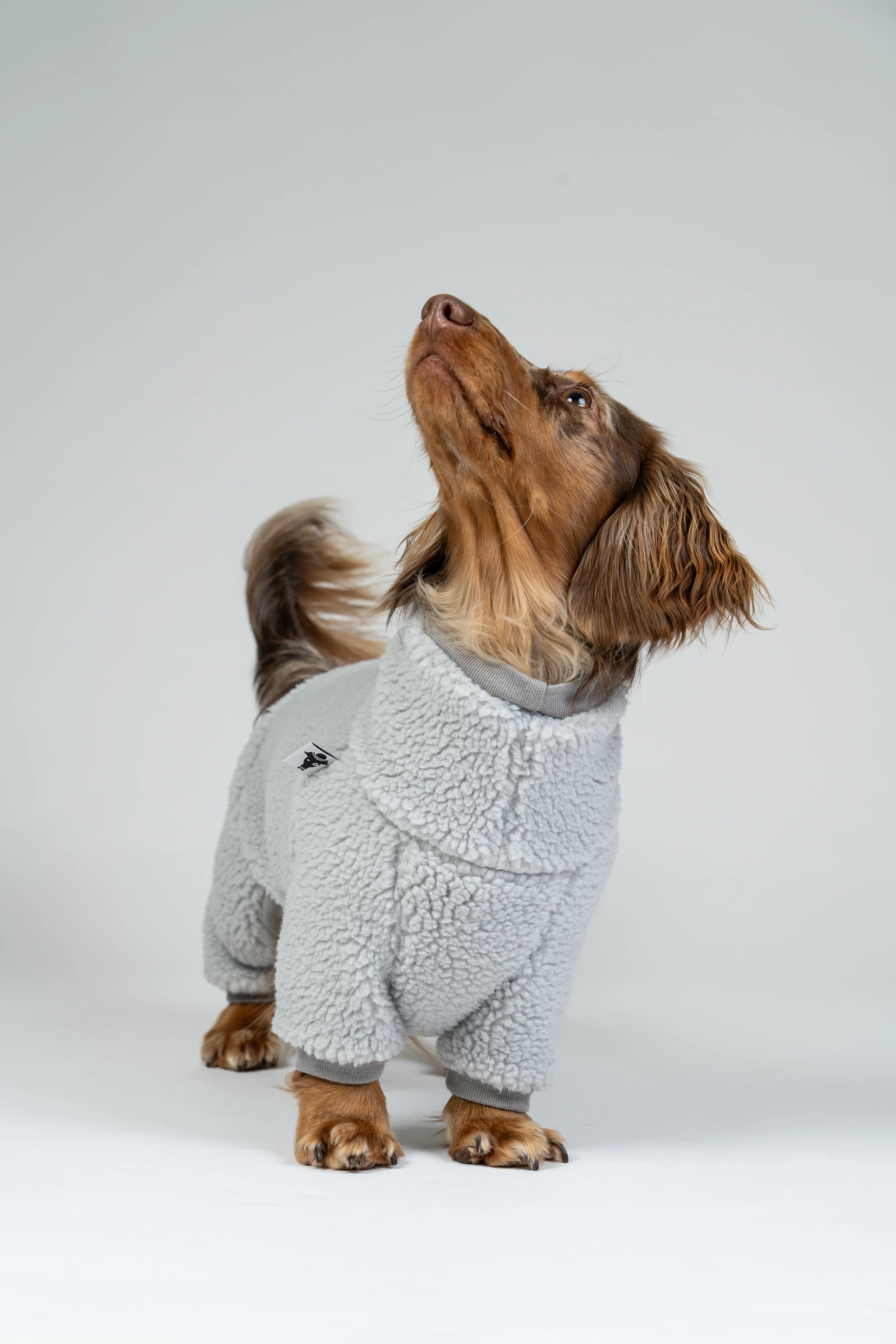 TEDDY OVERALL Dackel Light Grey - Image 7