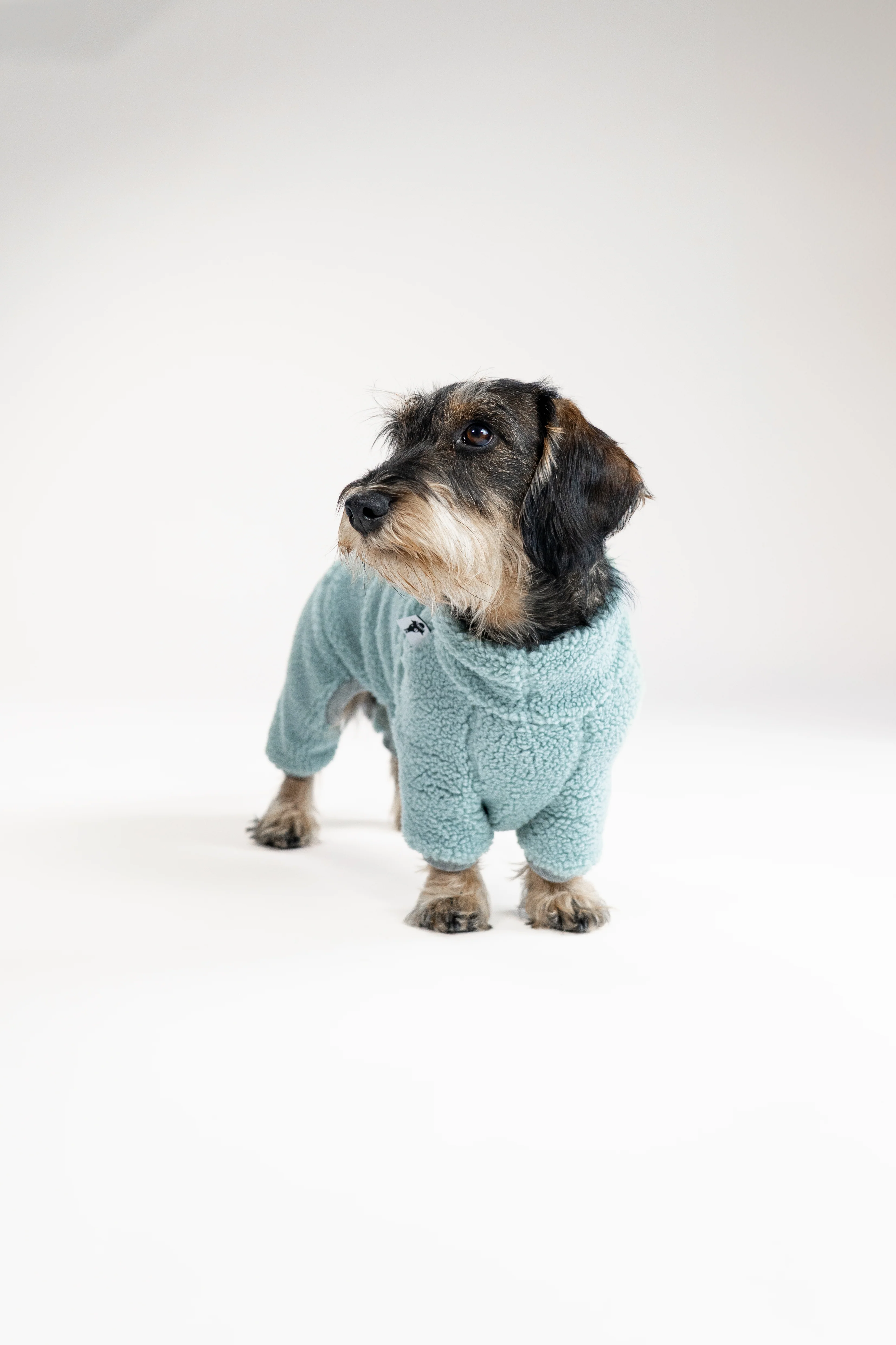 TEDDY OVERALL Dackel Mint - Image 4