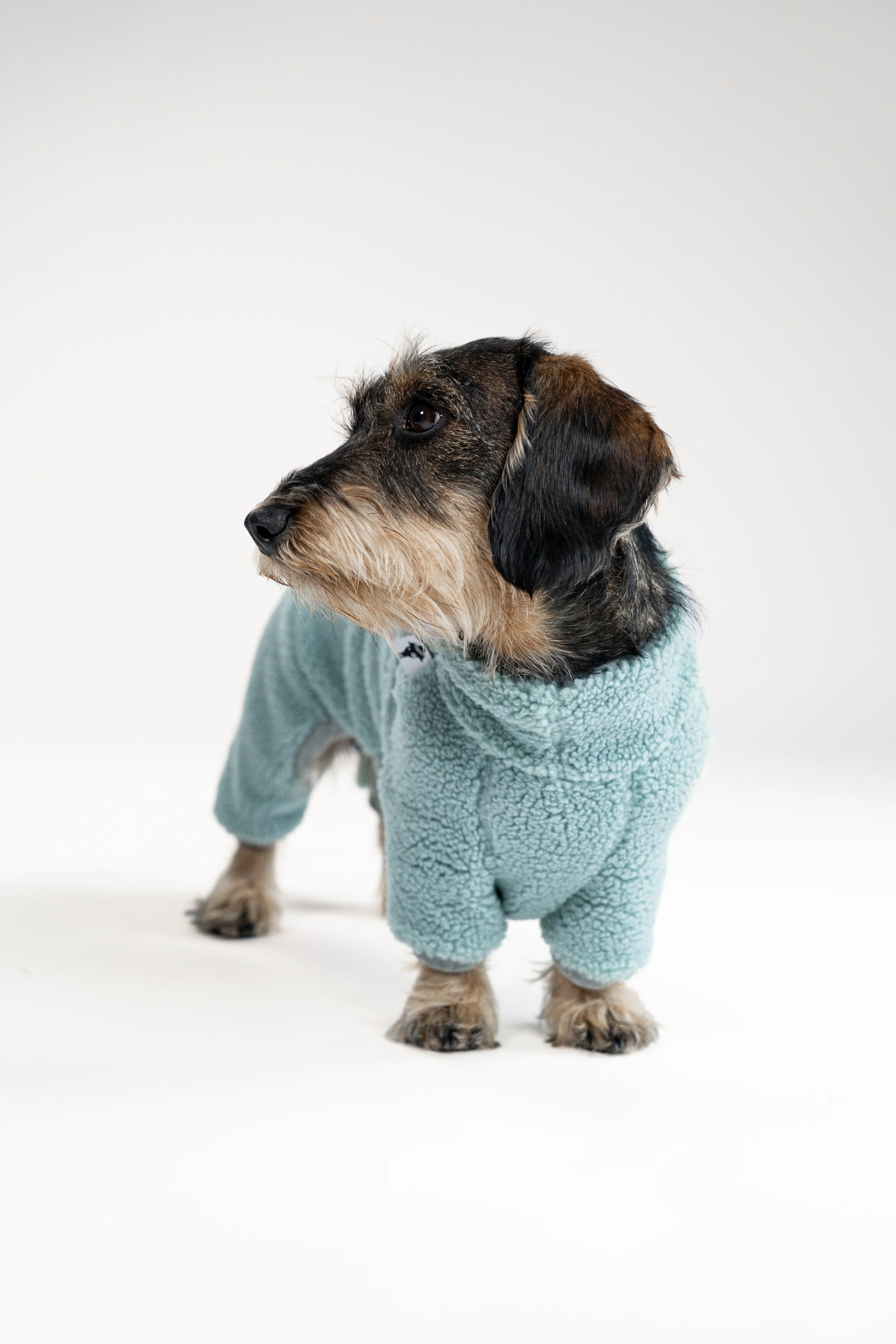 TEDDY OVERALL Dackel Mint - Image 6