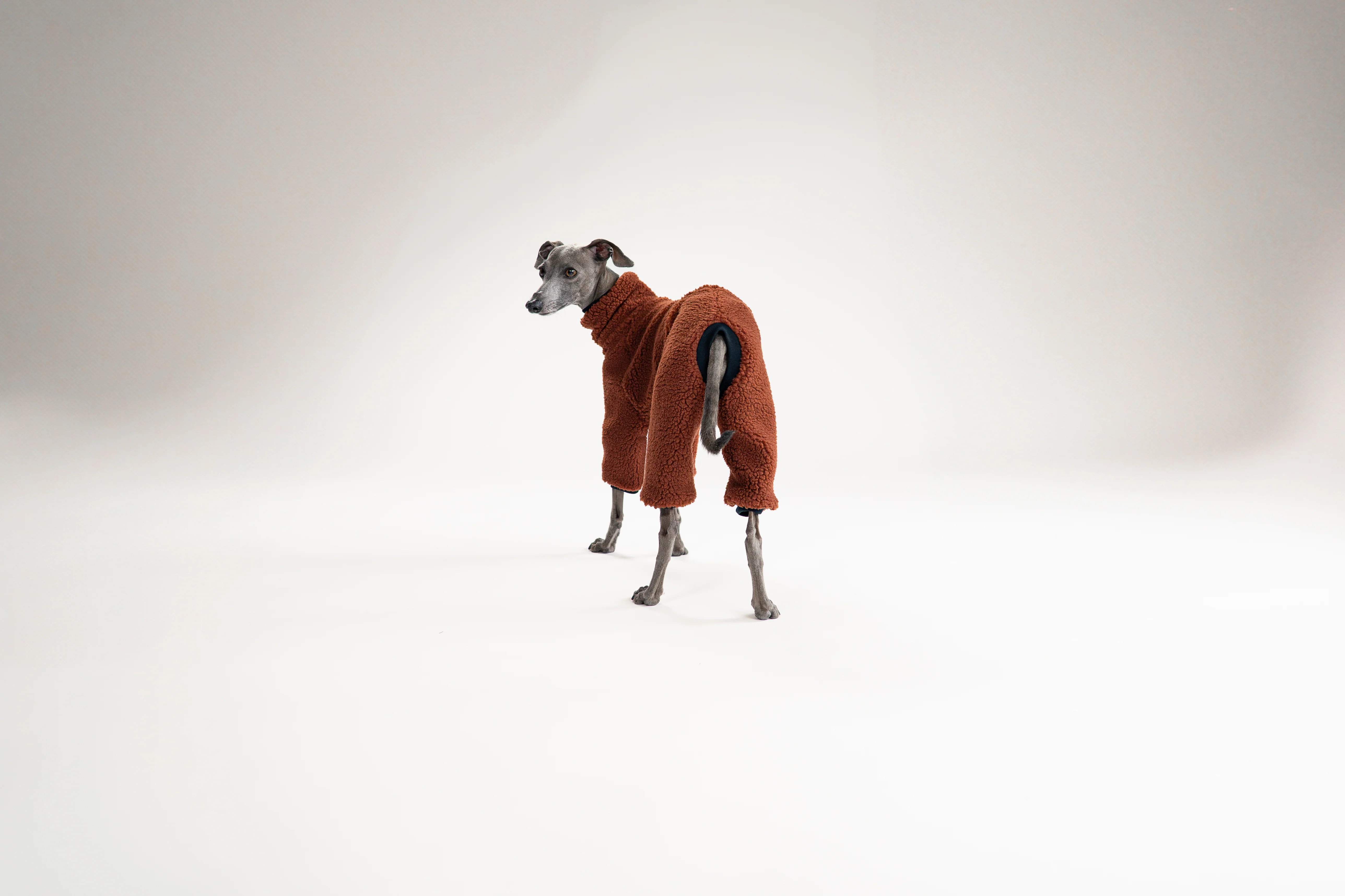 TEDDY OVERALL Iggy Brown - Image 6