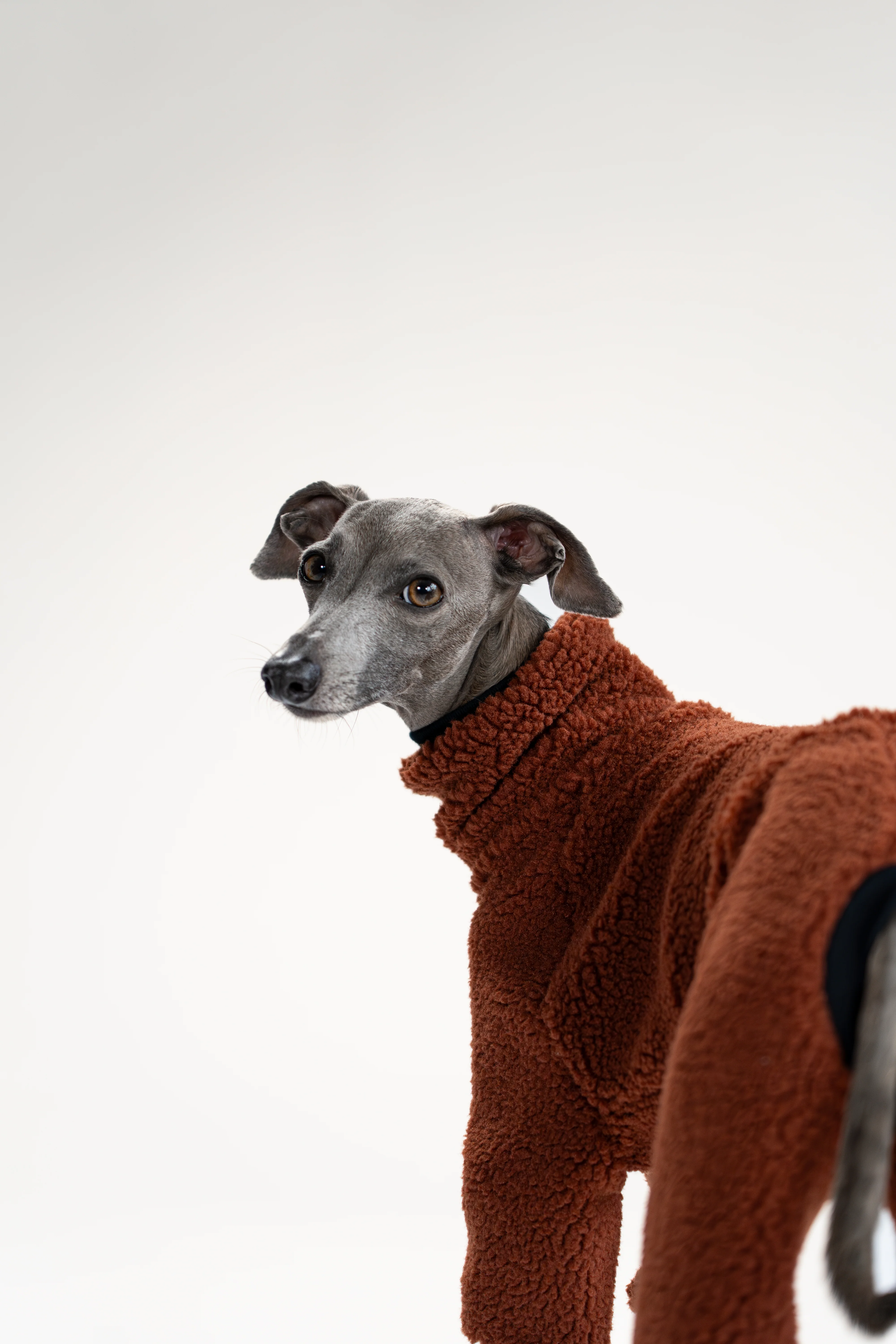 TEDDY OVERALL Iggy Brown - Image 7