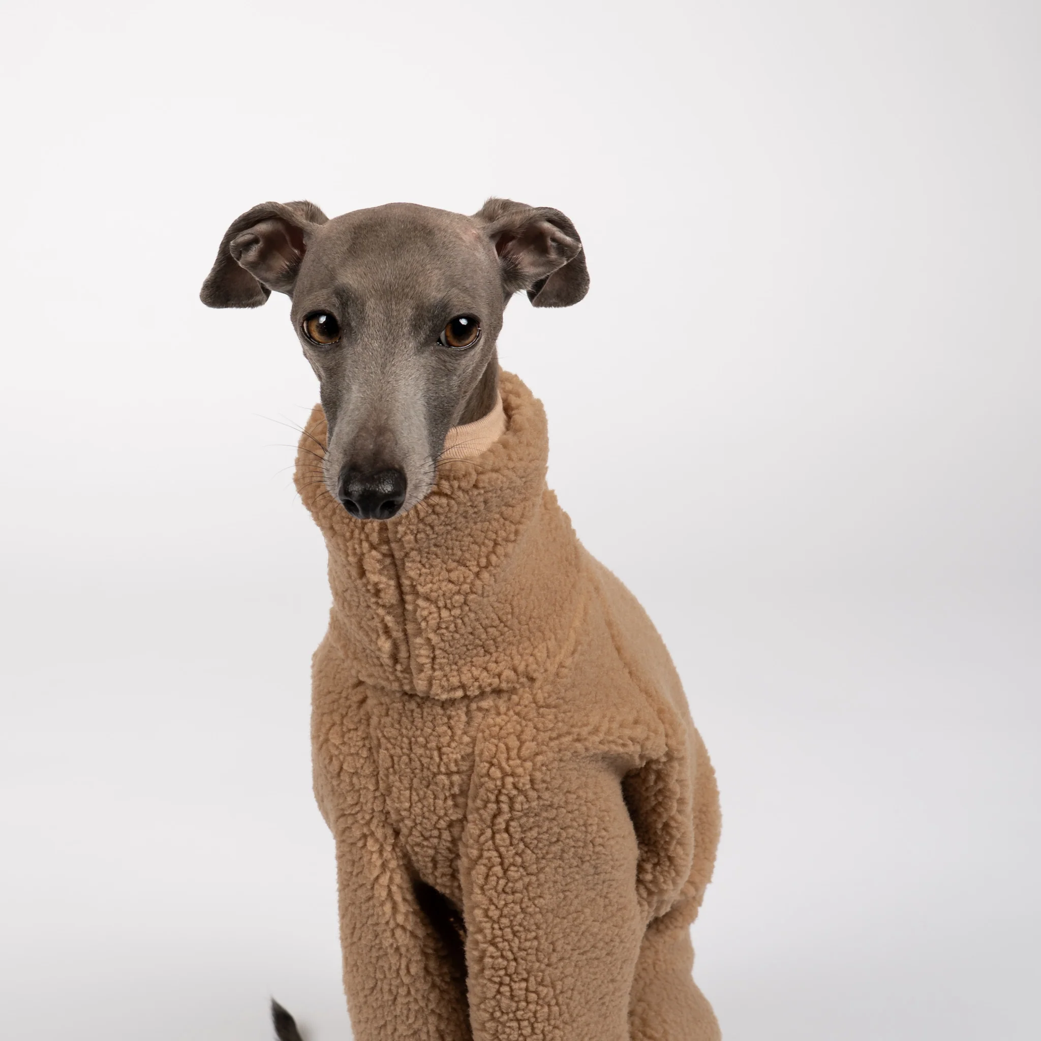 TEDDY OVERALL Iggy Camel - Image 4