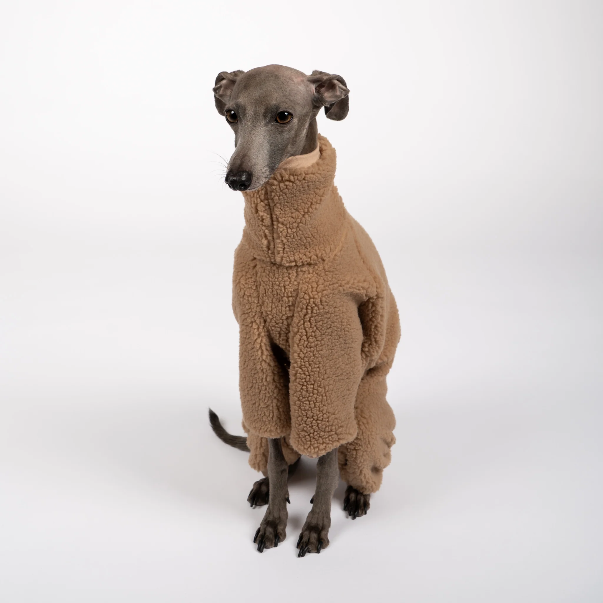 TEDDY OVERALL Iggy Camel - Image 5