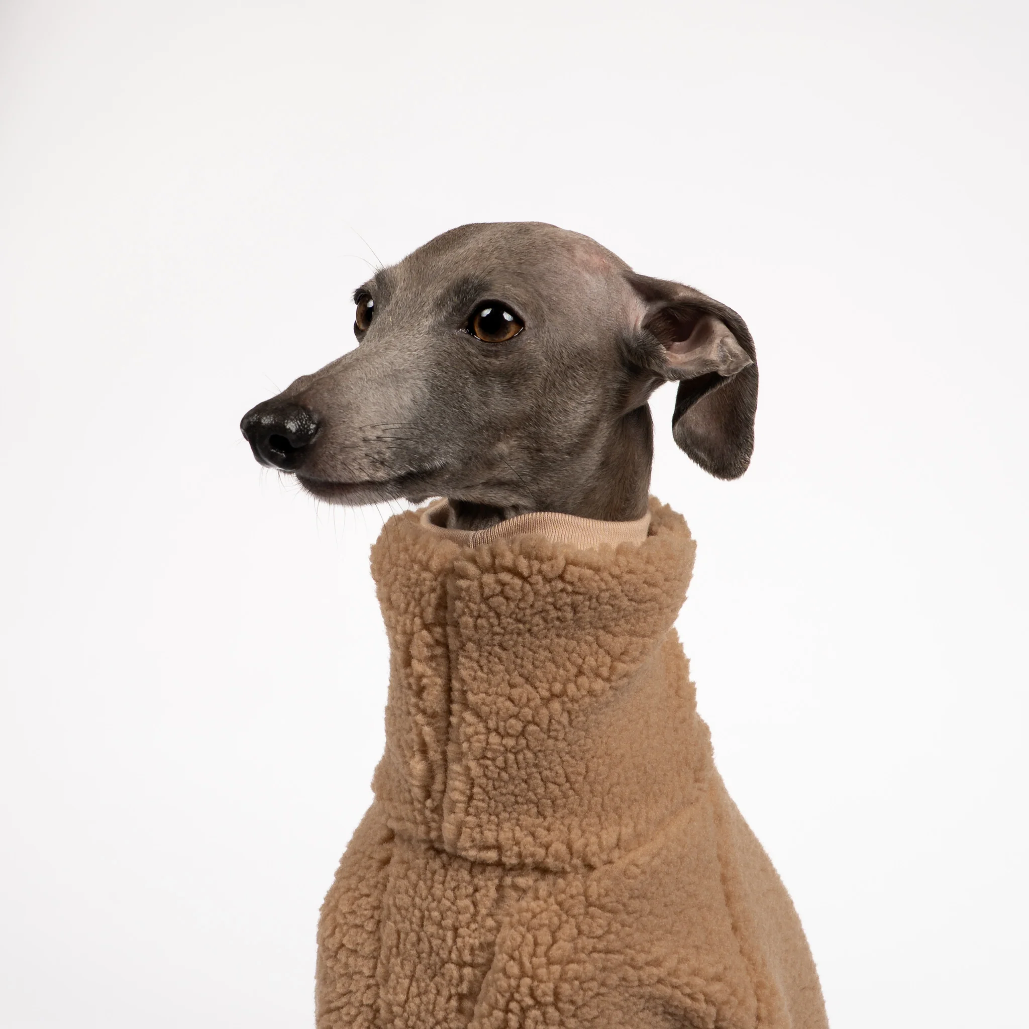 TEDDY OVERALL Iggy Camel - Image 6