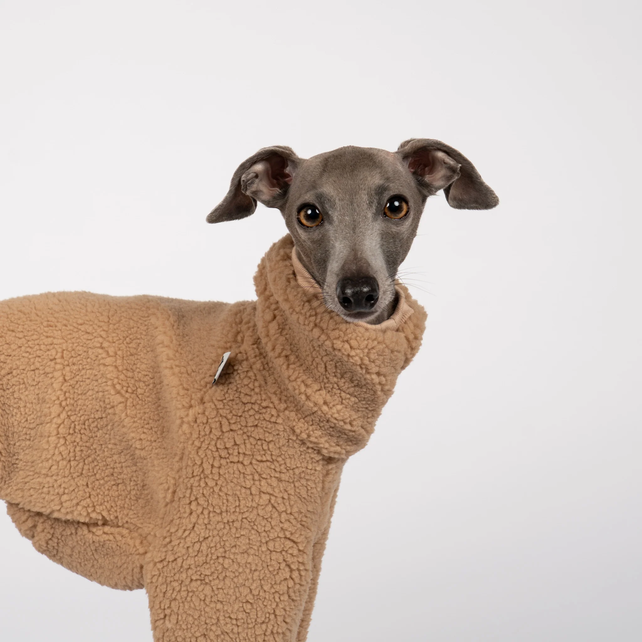 TEDDY OVERALL Iggy Camel - Image 7