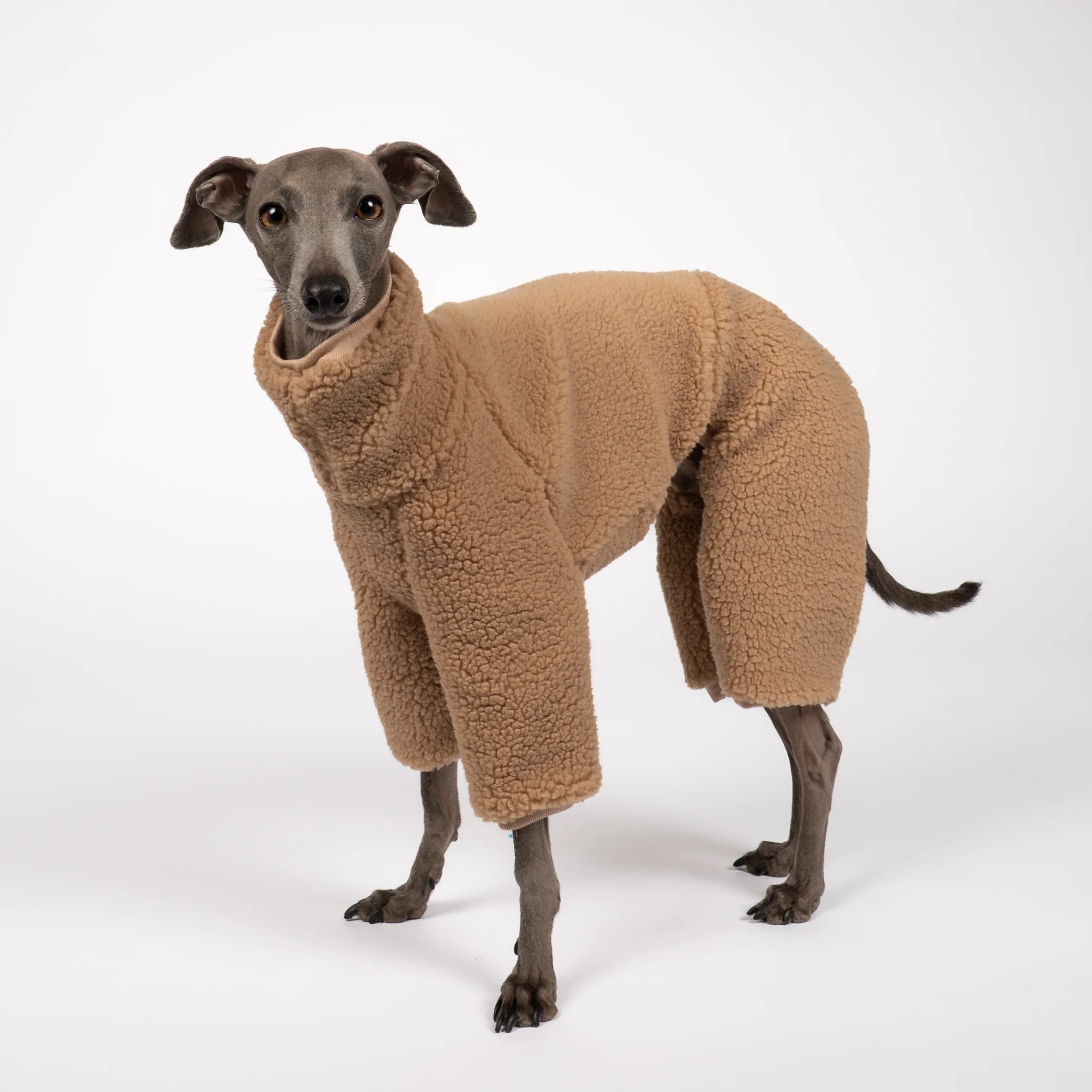 TEDDY OVERALL Iggy Camel - Image 8