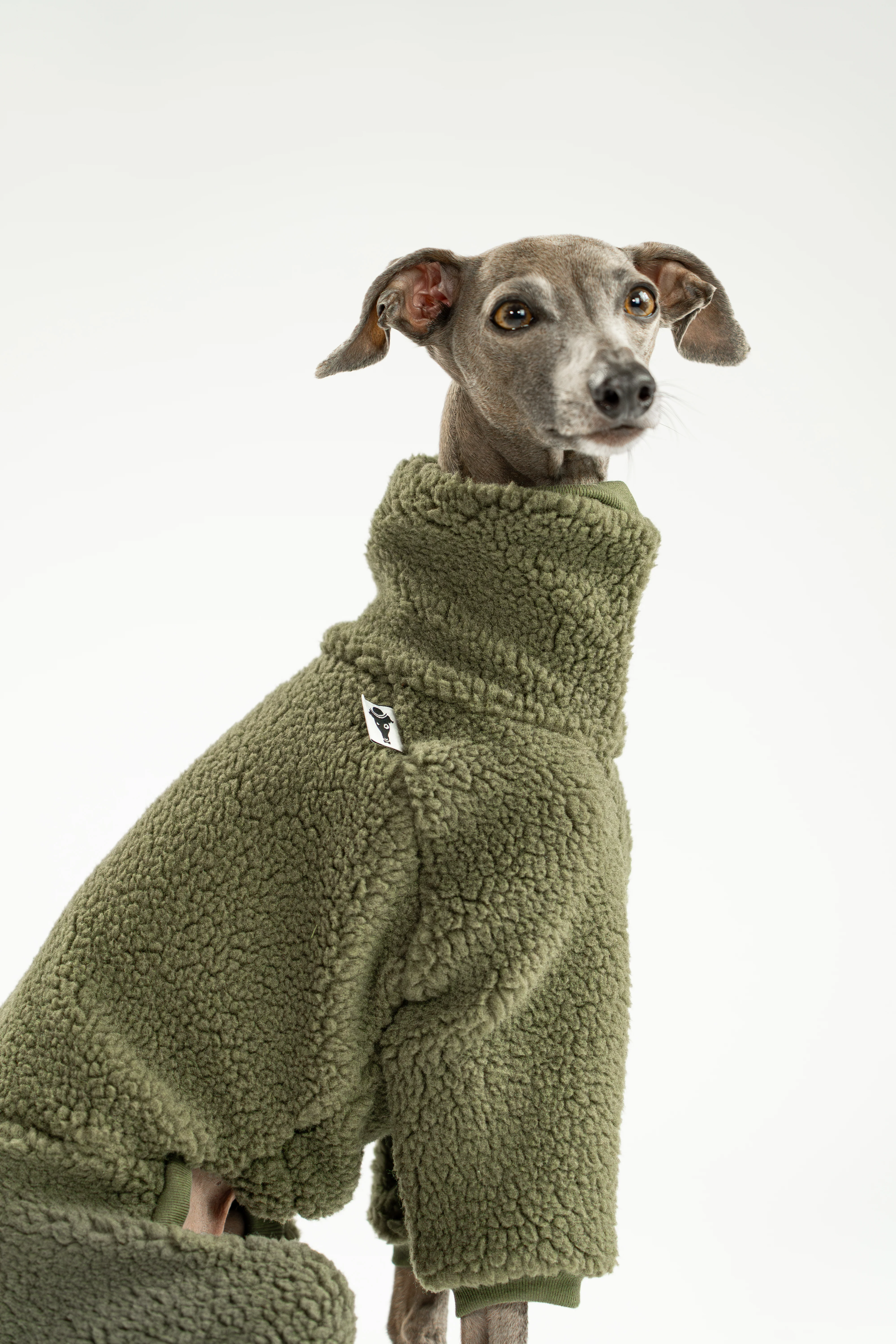 TEDDY OVERALL Iggy Dark Olive - Image 10