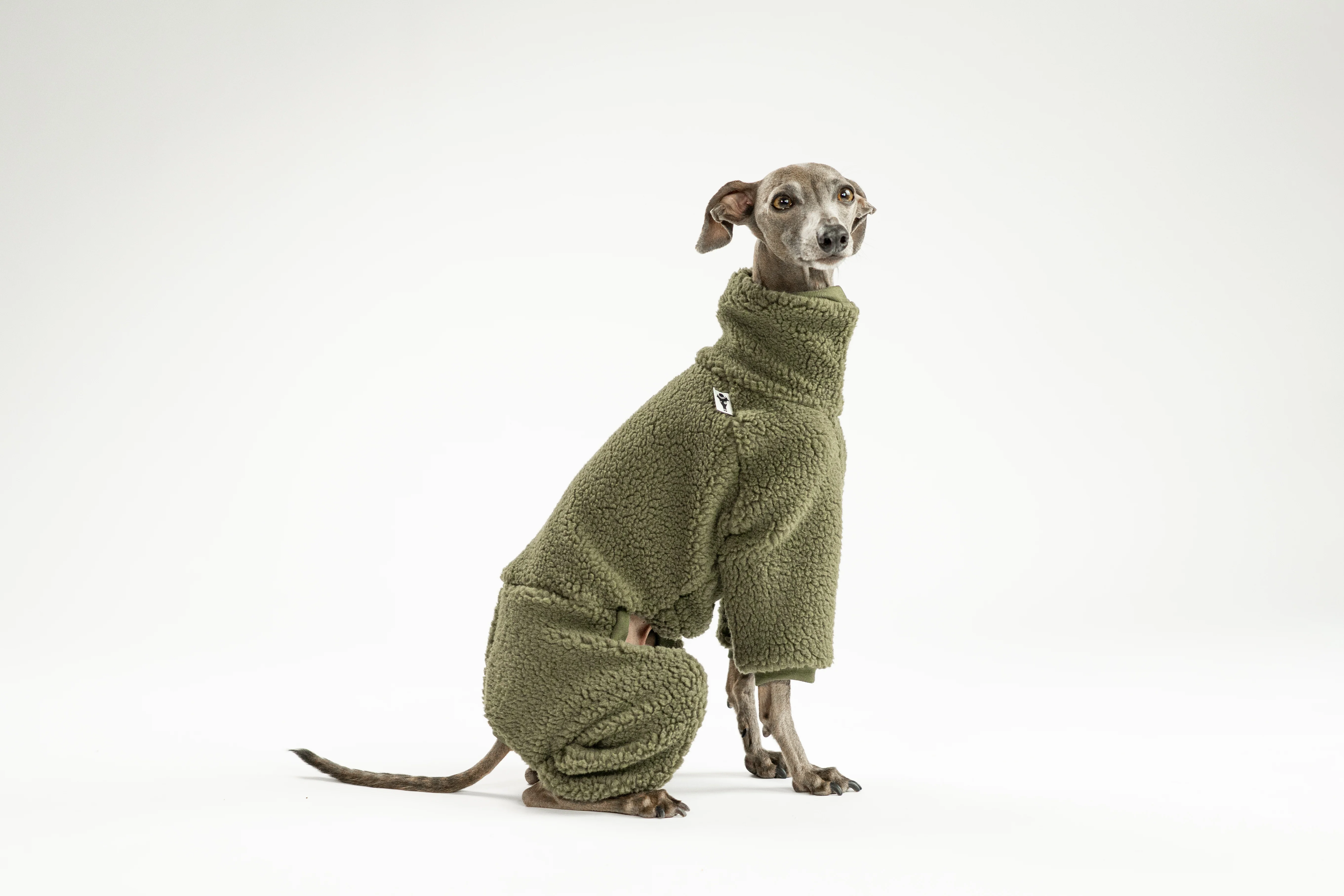 TEDDY OVERALL Iggy Dark Olive - Image 4