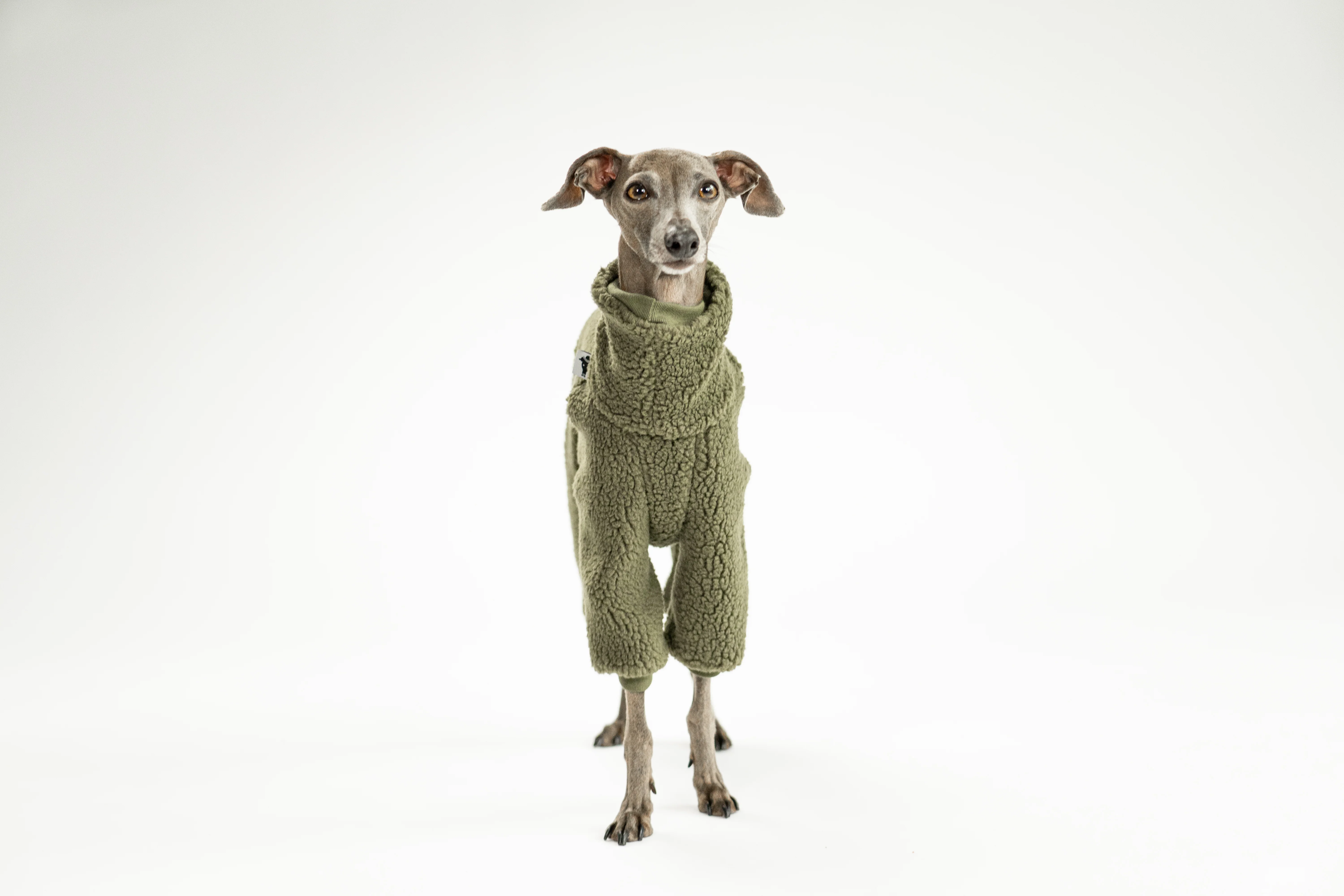 TEDDY OVERALL Iggy Dark Olive - Image 6