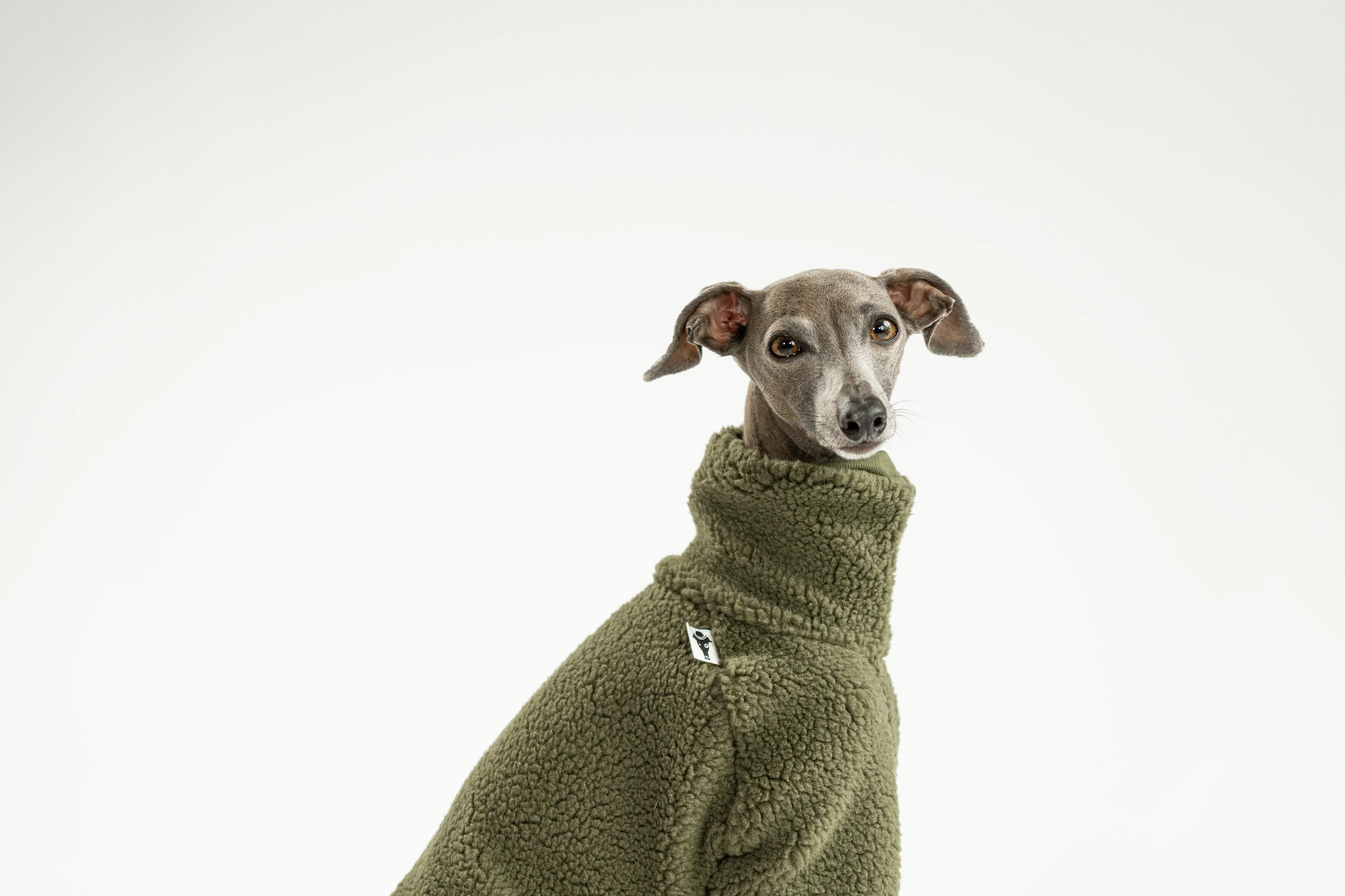 TEDDY OVERALL Iggy Dark Olive - Image 7