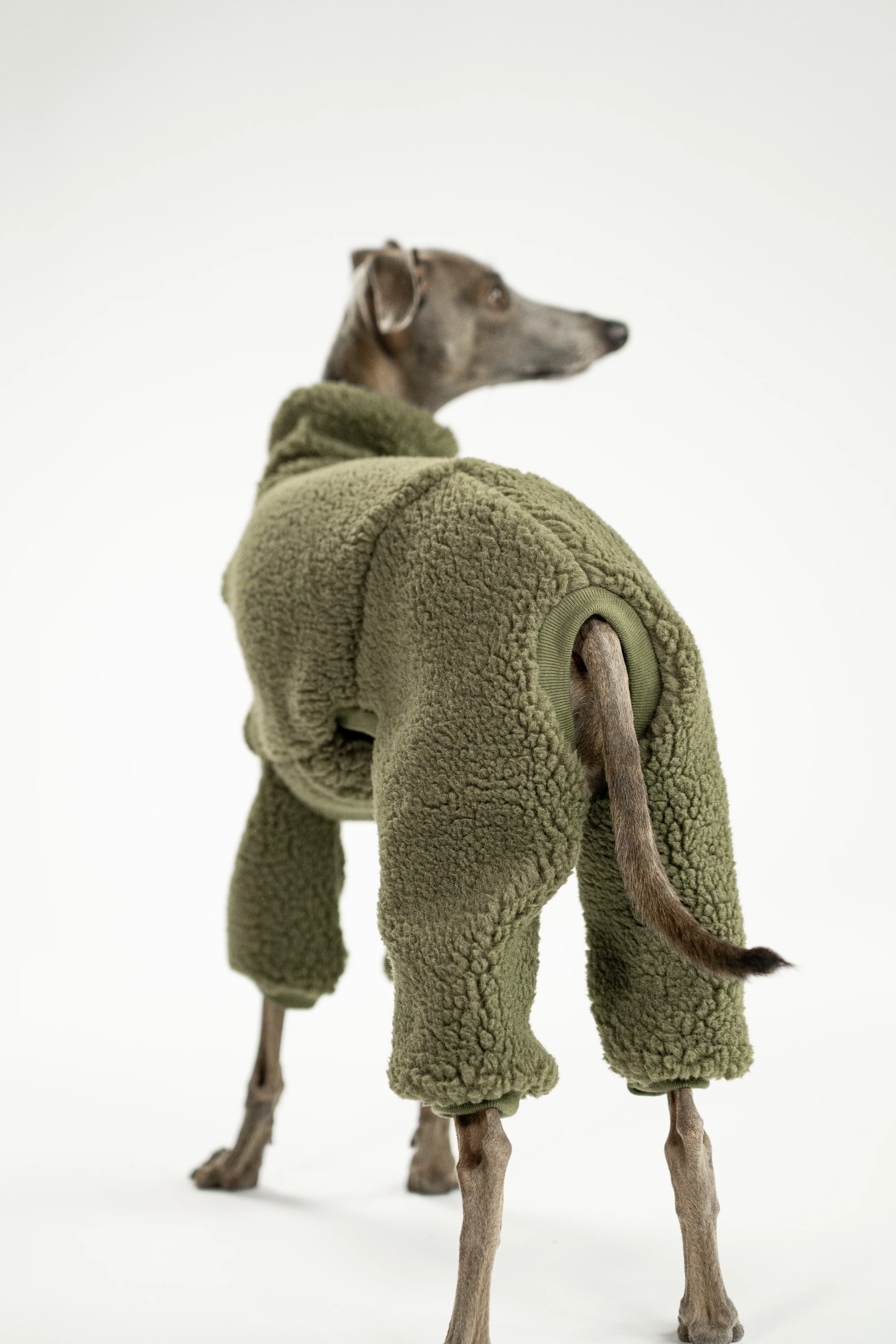 TEDDY OVERALL Iggy Dark Olive - Image 8