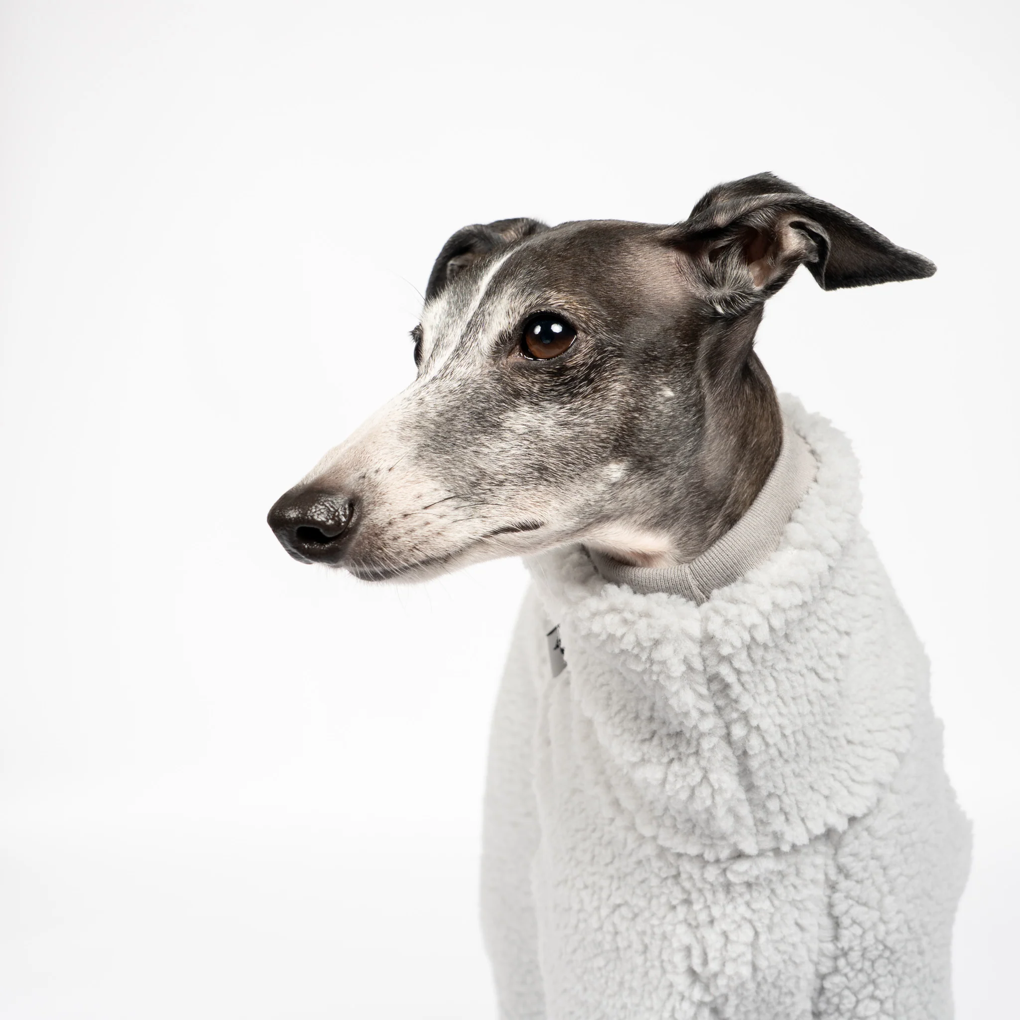 TEDDY OVERALL Iggy Light Grey - Image 2