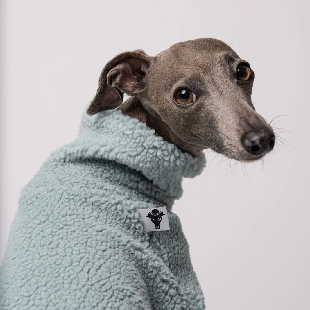 TEDDY OVERALL Iggy Mint - Image 5