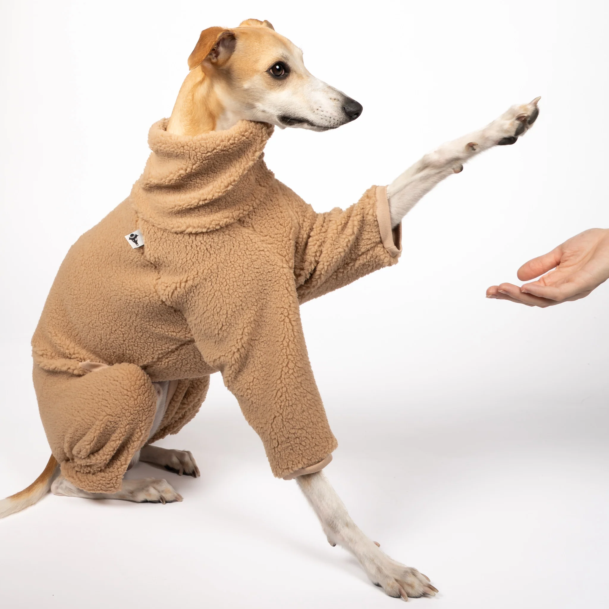 TEDDY OVERALL Windhund Camel - Image 3