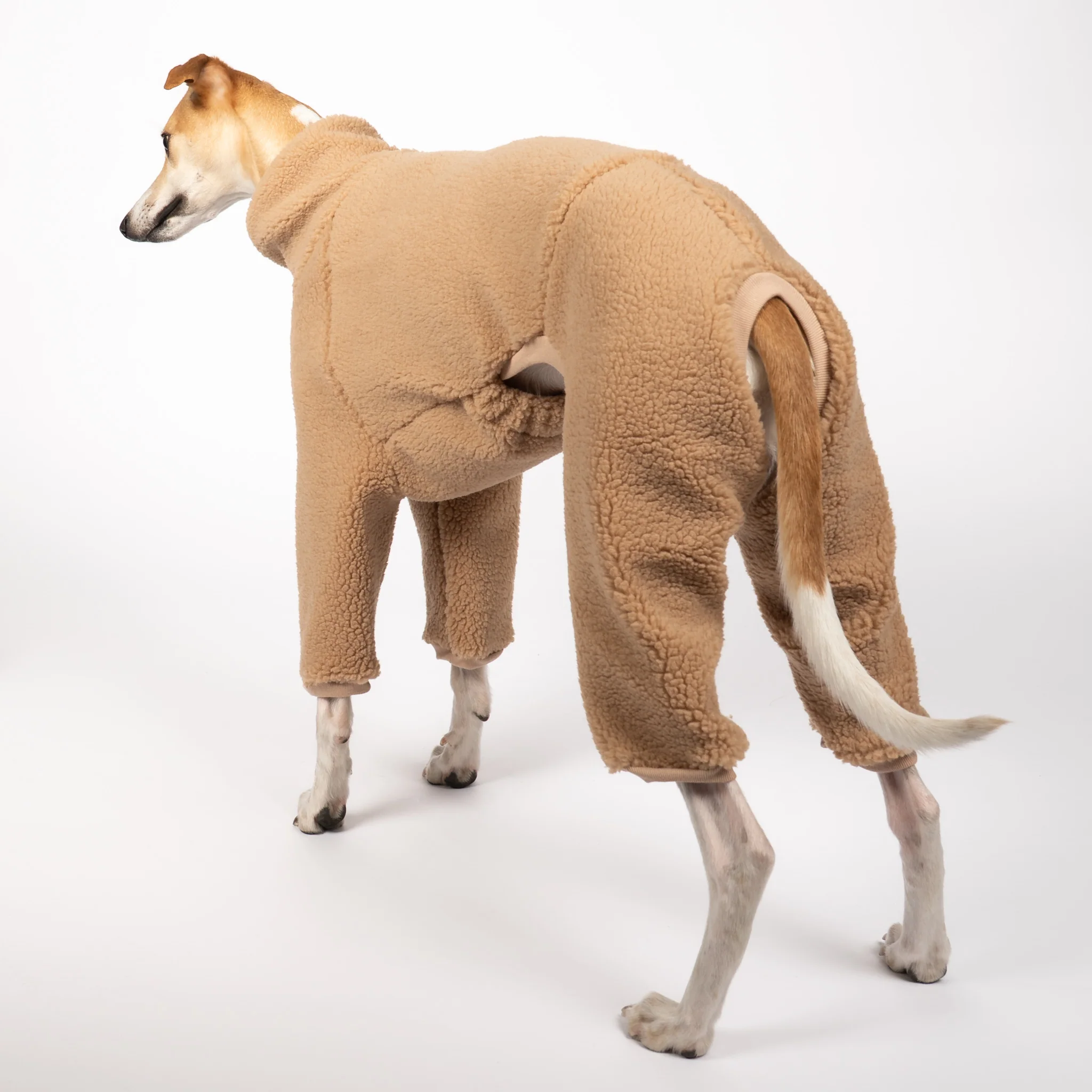 TEDDY OVERALL Windhund Camel - Image 5