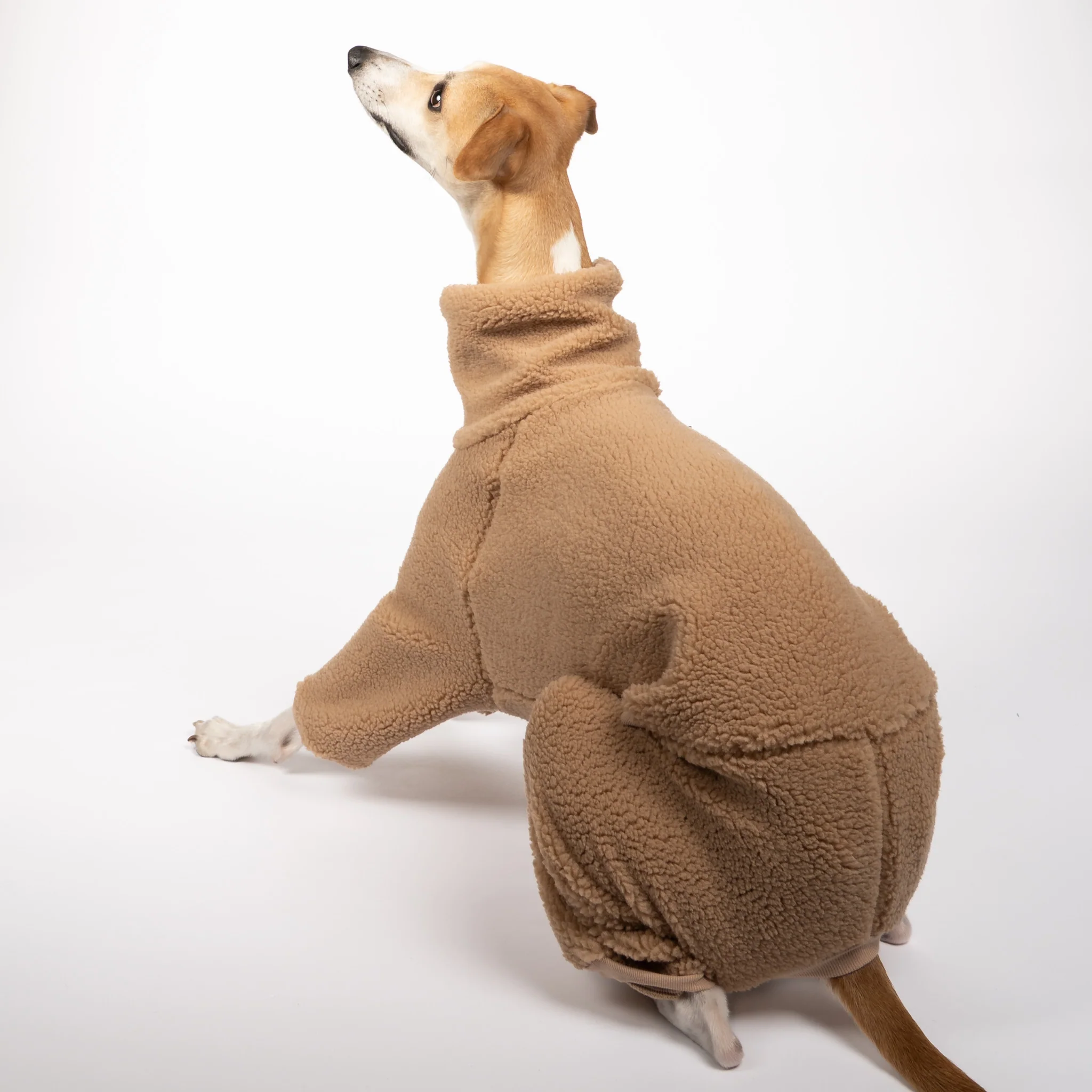 TEDDY OVERALL Windhund Camel - Image 6