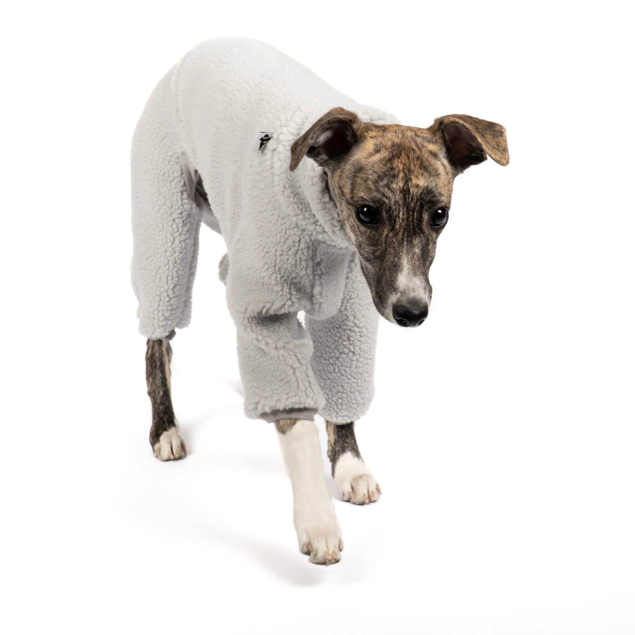TEDDY OVERALL Windhund Light Grey - Image 4