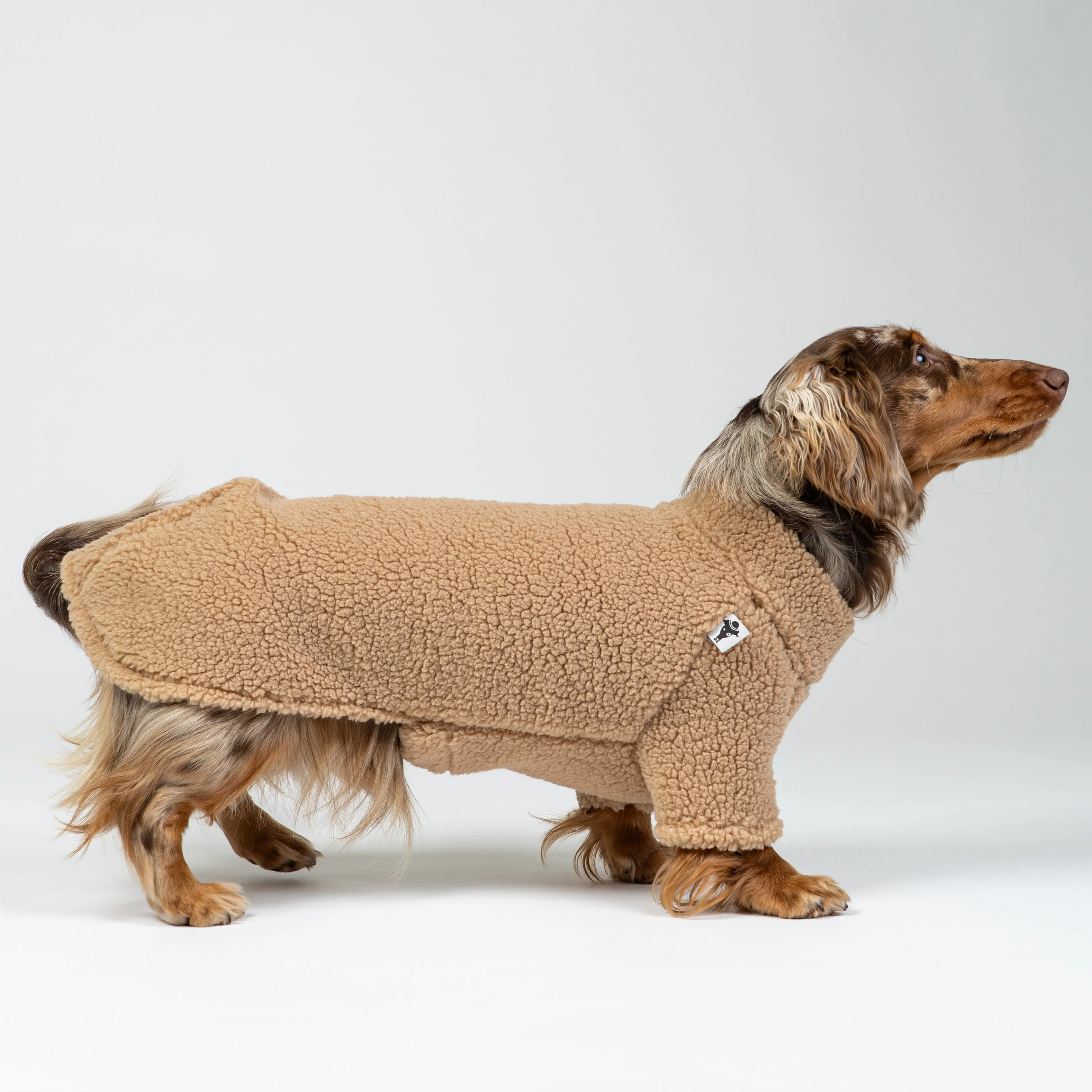 TEDDY PULLOVER Dackel Camel