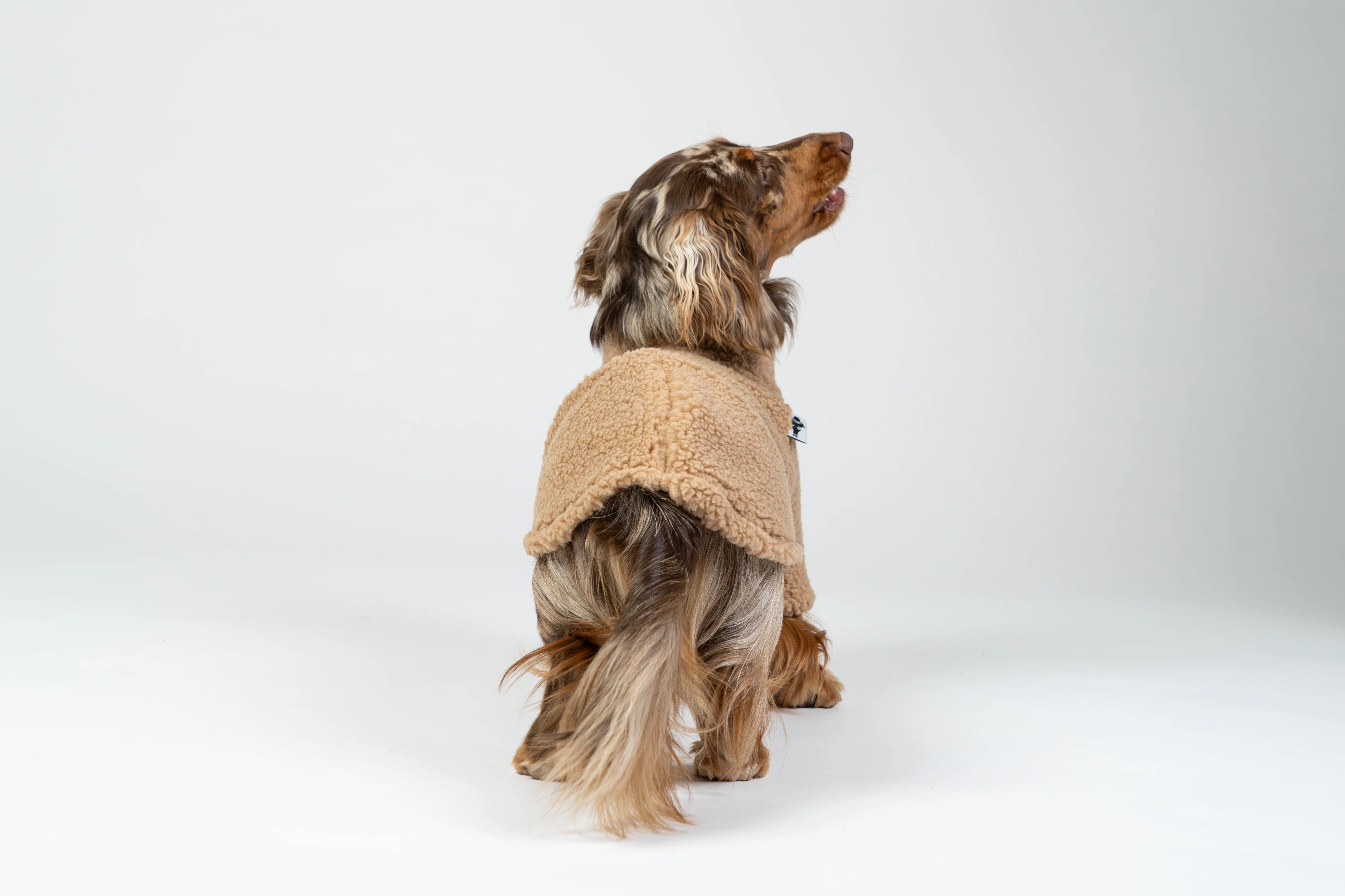 TEDDY PULLOVER Dackel Camel - Image 4
