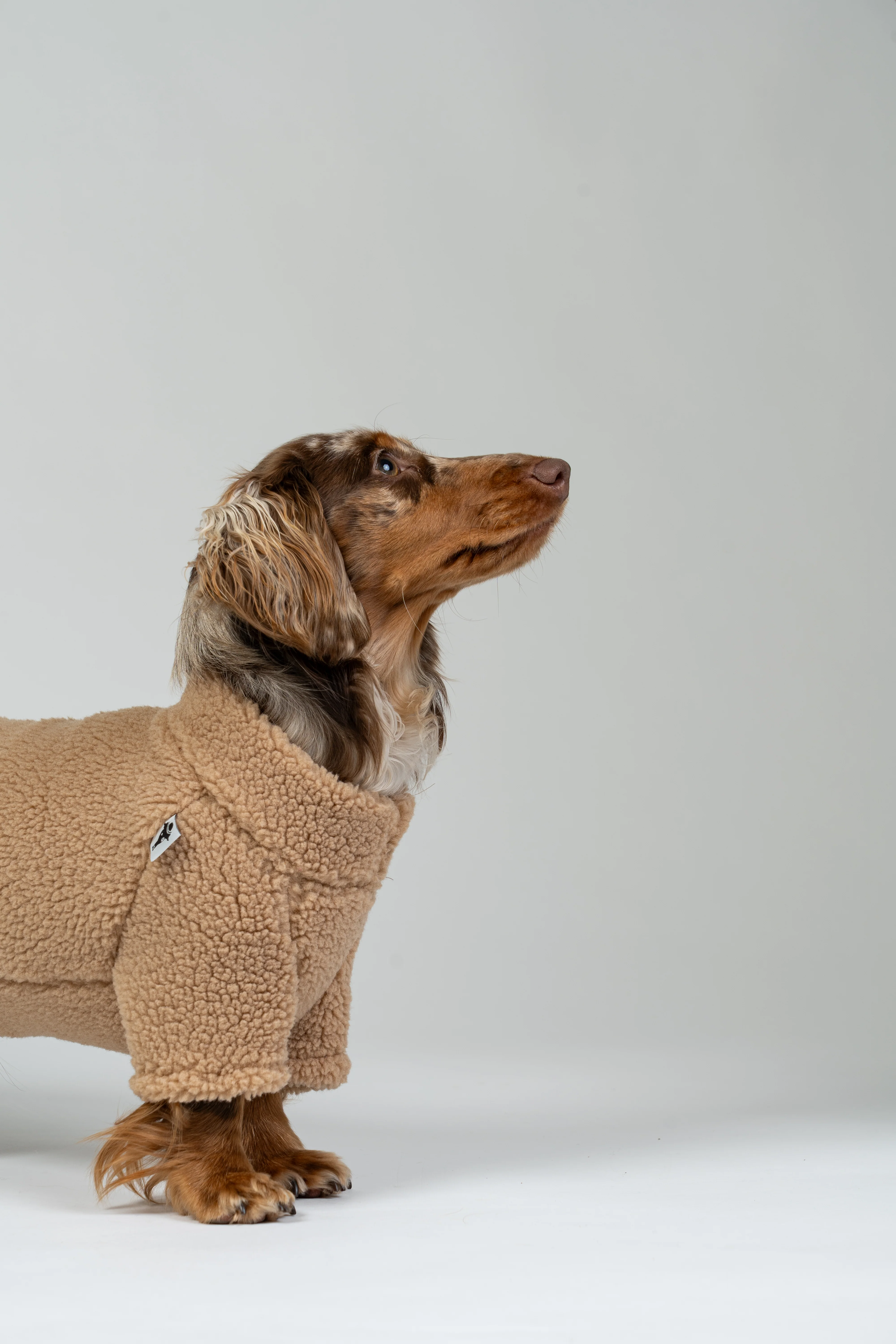 TEDDY PULLOVER Dackel Camel - Image 5