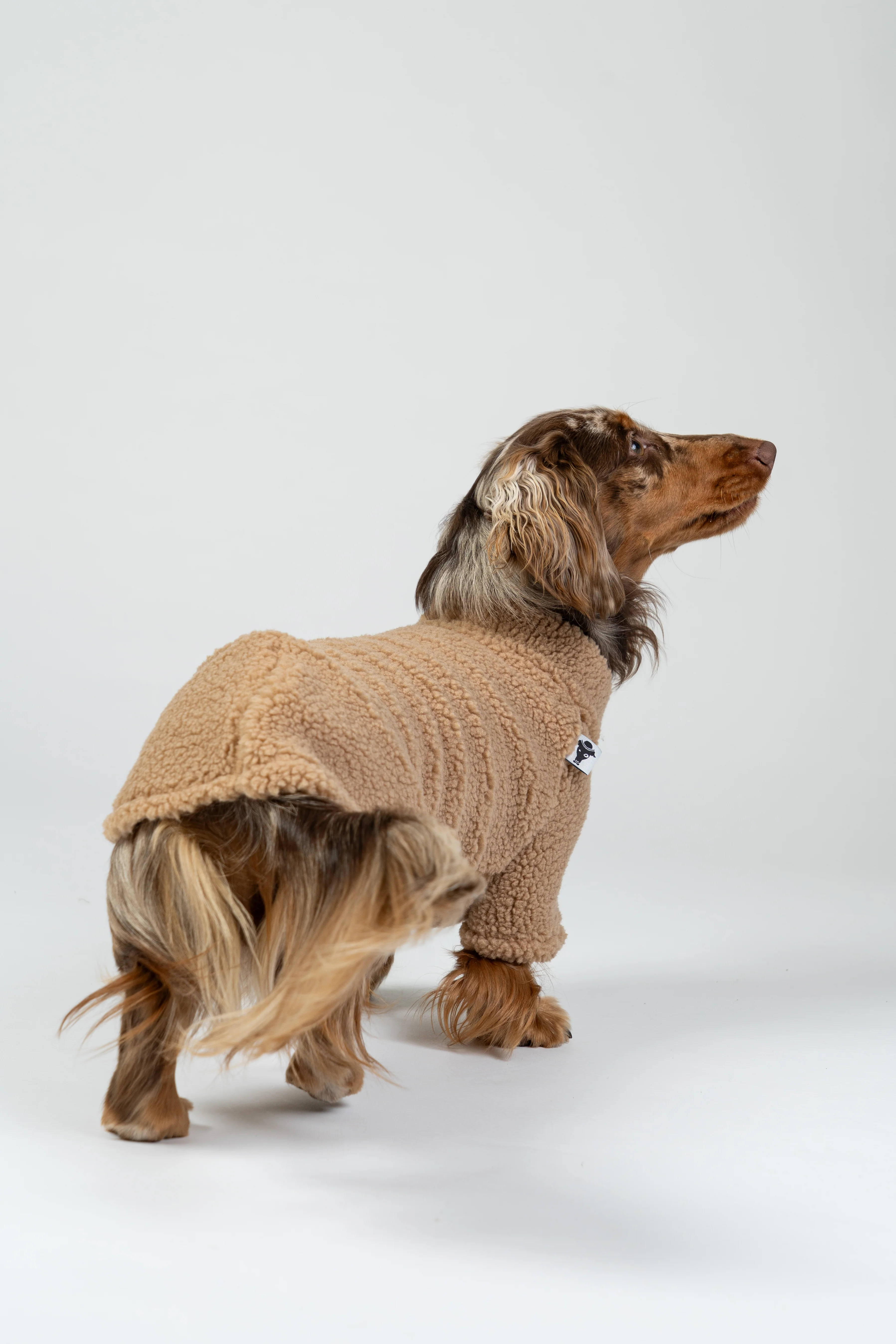 TEDDY PULLOVER Dackel Camel - Image 6