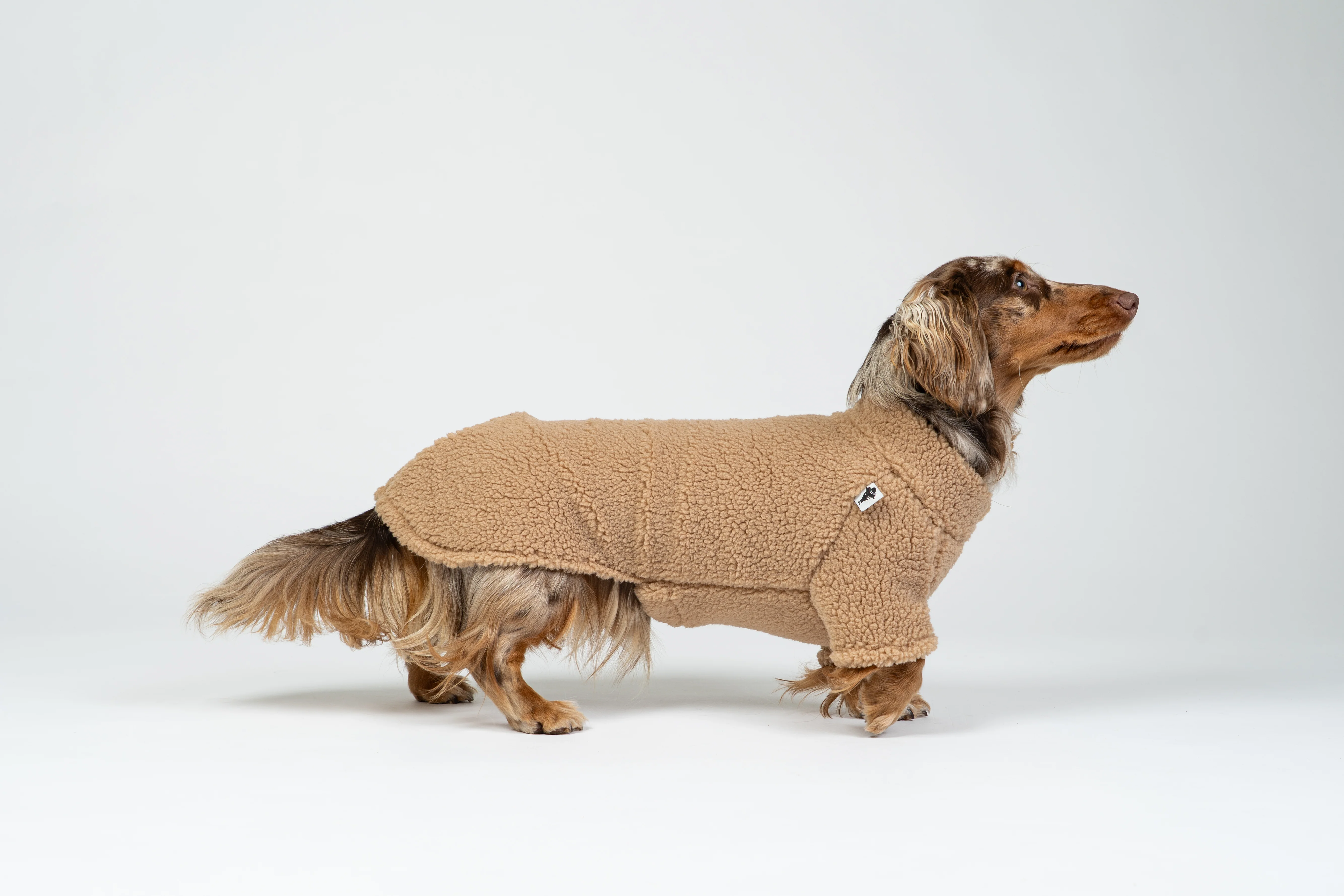 TEDDY PULLOVER Dackel Camel - Image 7