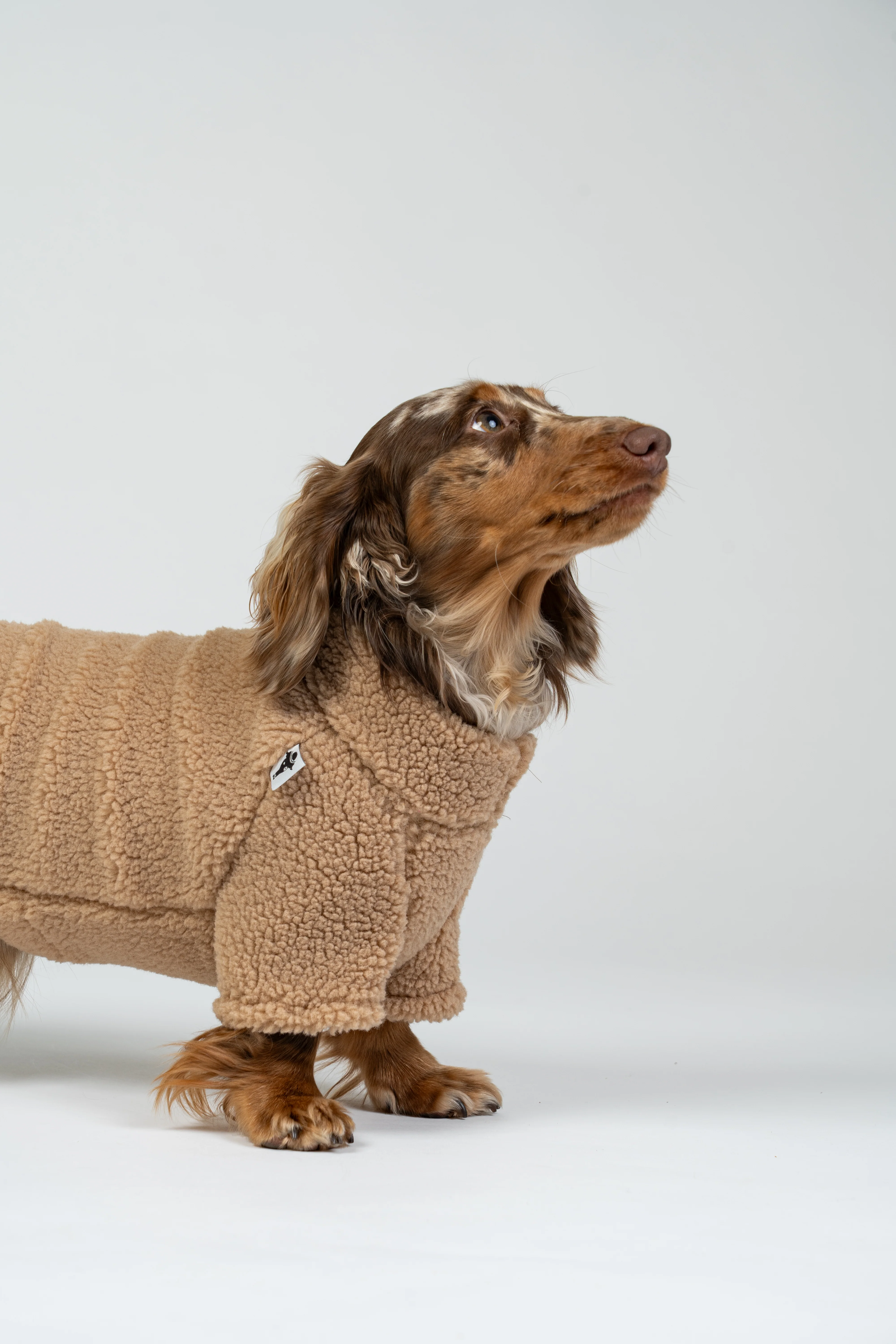 TEDDY PULLOVER Dackel Camel - Image 8
