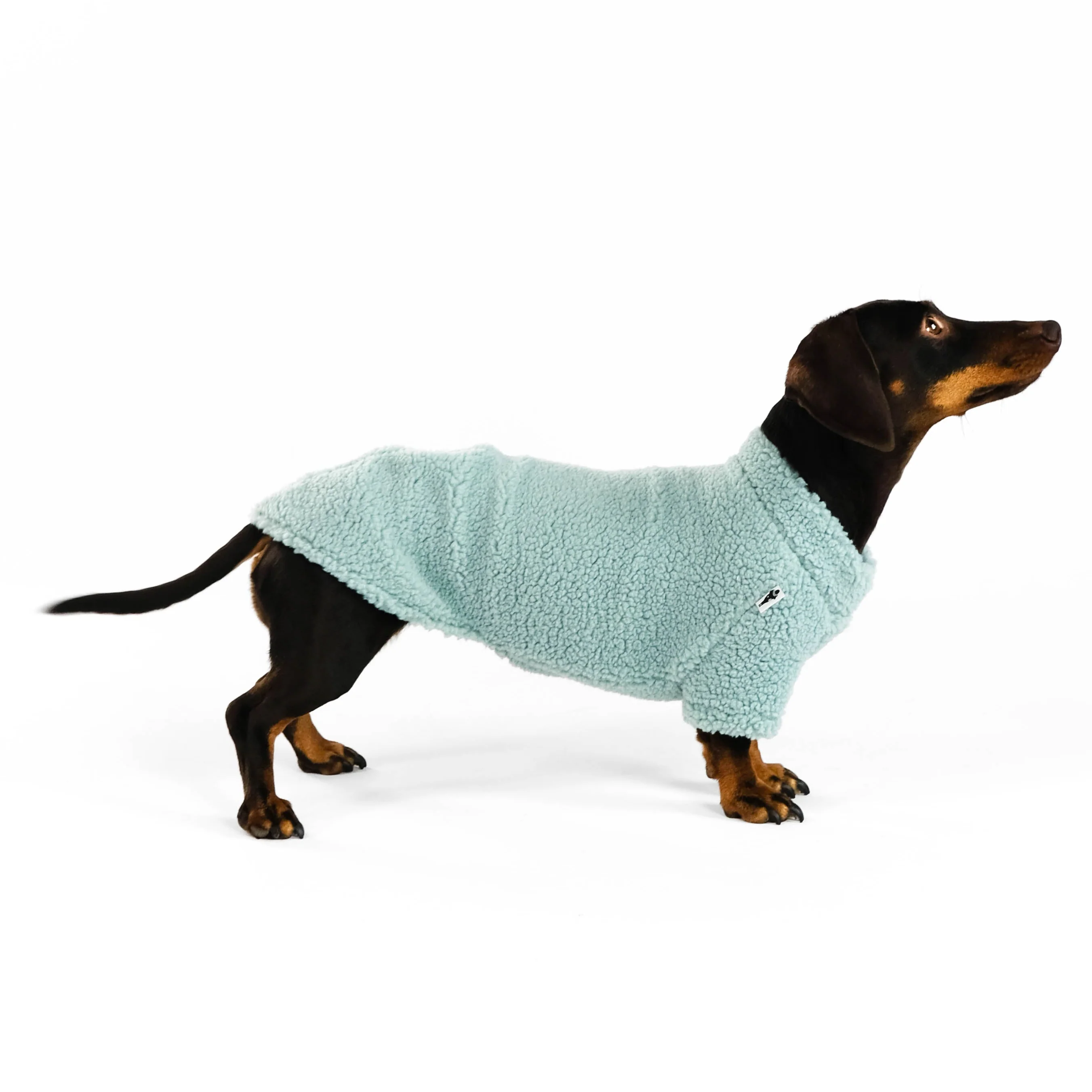 TEDDY PULLOVER Dackel Mint - Image 4