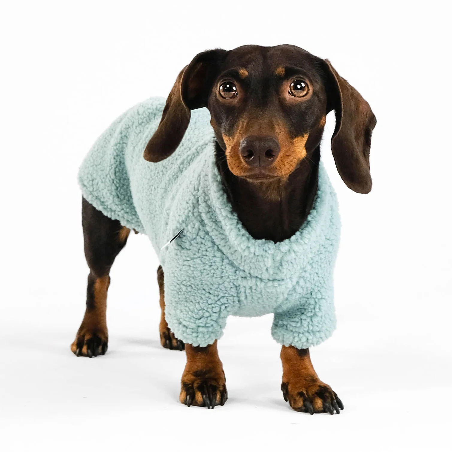 TEDDY PULLOVER Dackel Mint - Image 5