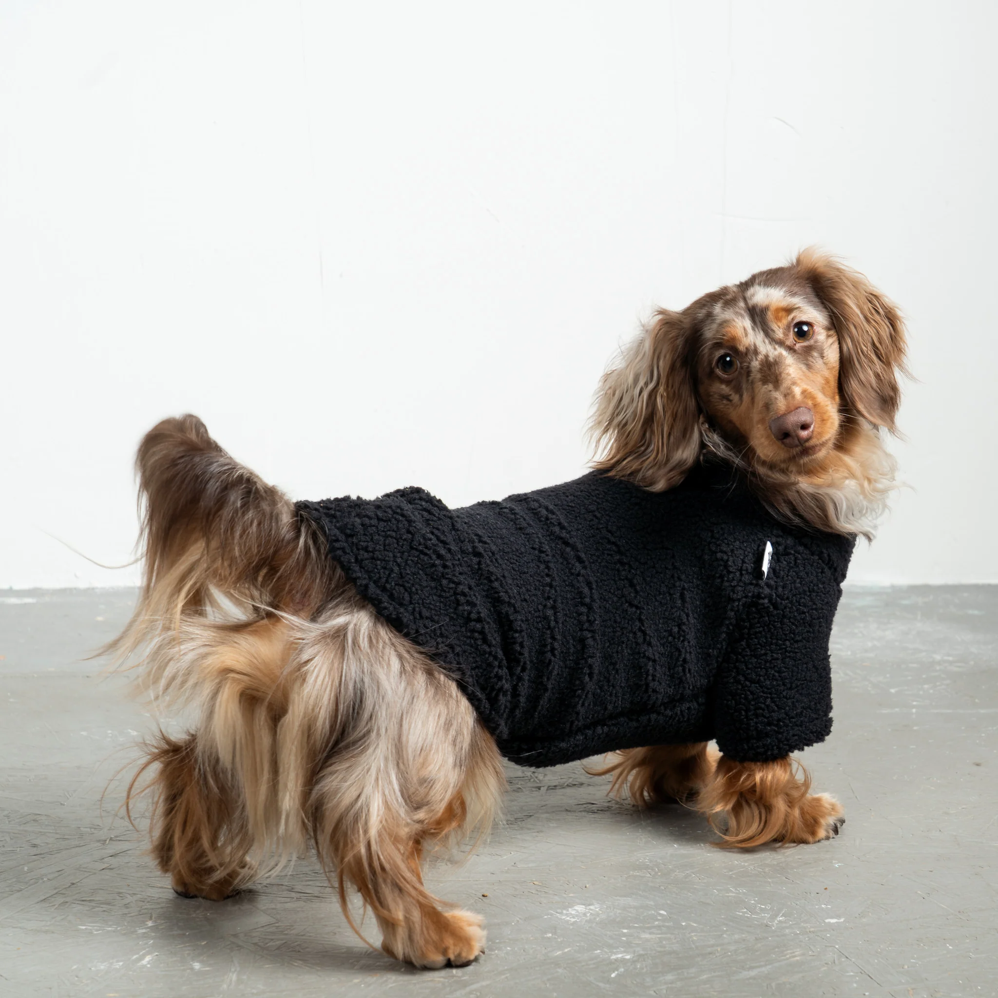TEDDY PULLOVER Dackel Schwarz
