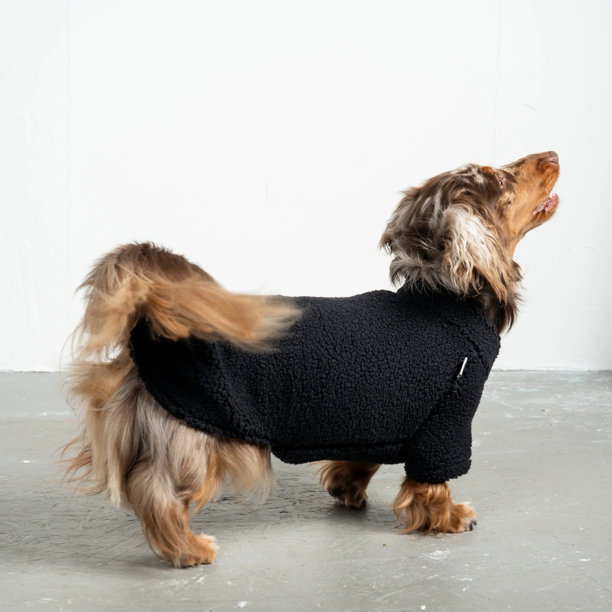 TEDDY PULLOVER Dackel Schwarz - Image 3