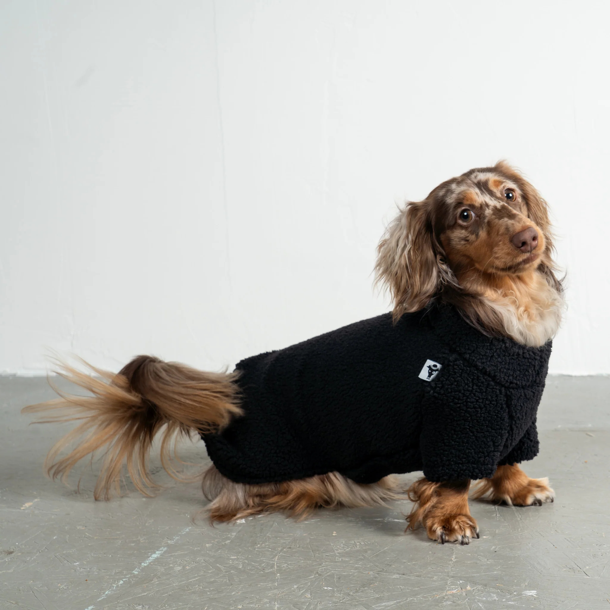 TEDDY PULLOVER Dackel Schwarz - Image 4