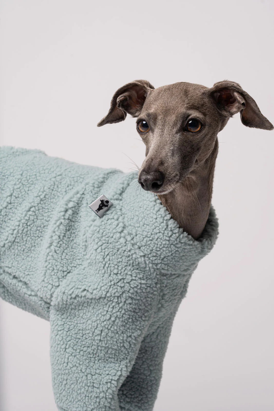 TEDDY PULLOVER Iggy Mint - Image 4