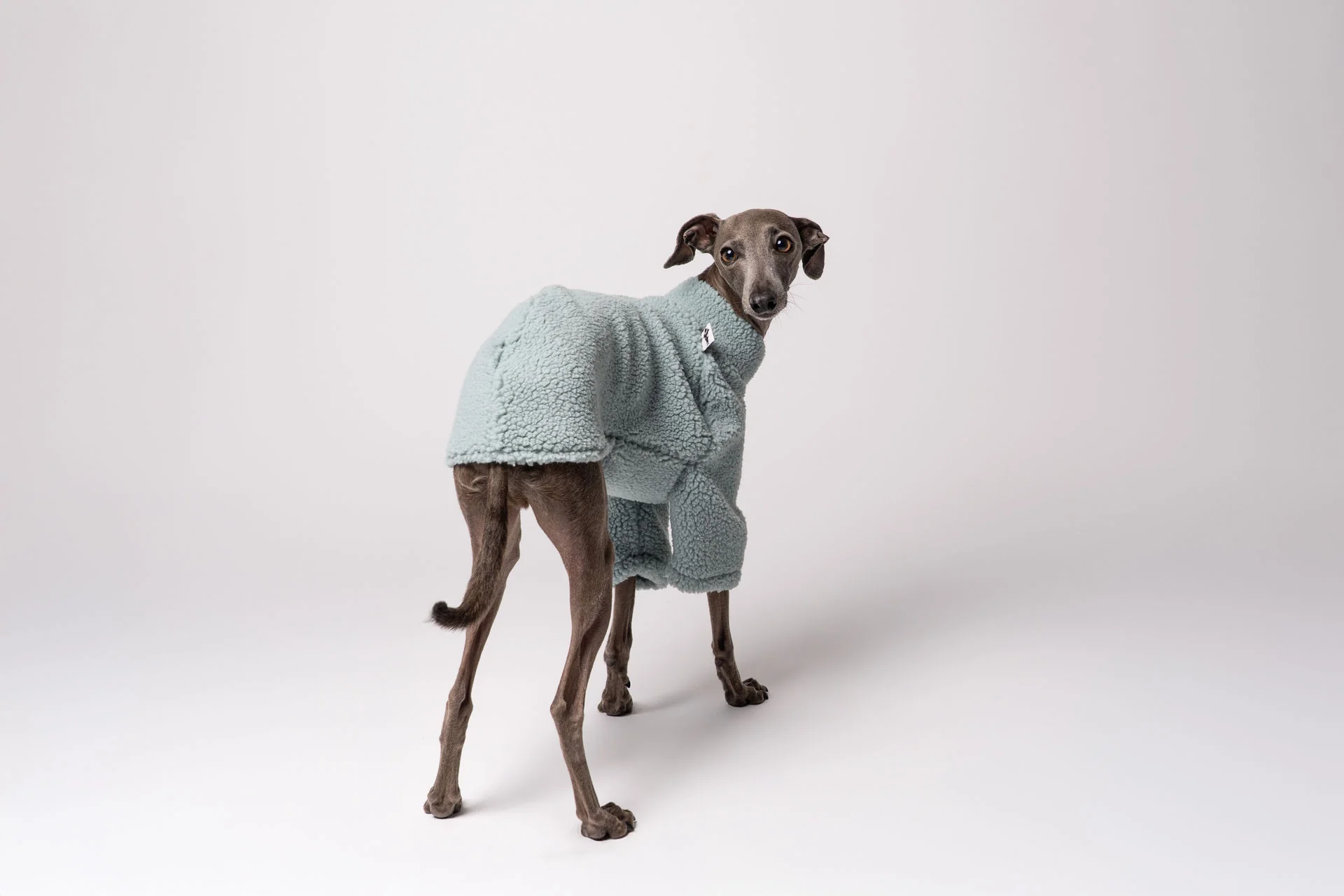 TEDDY PULLOVER Iggy Mint - Image 6