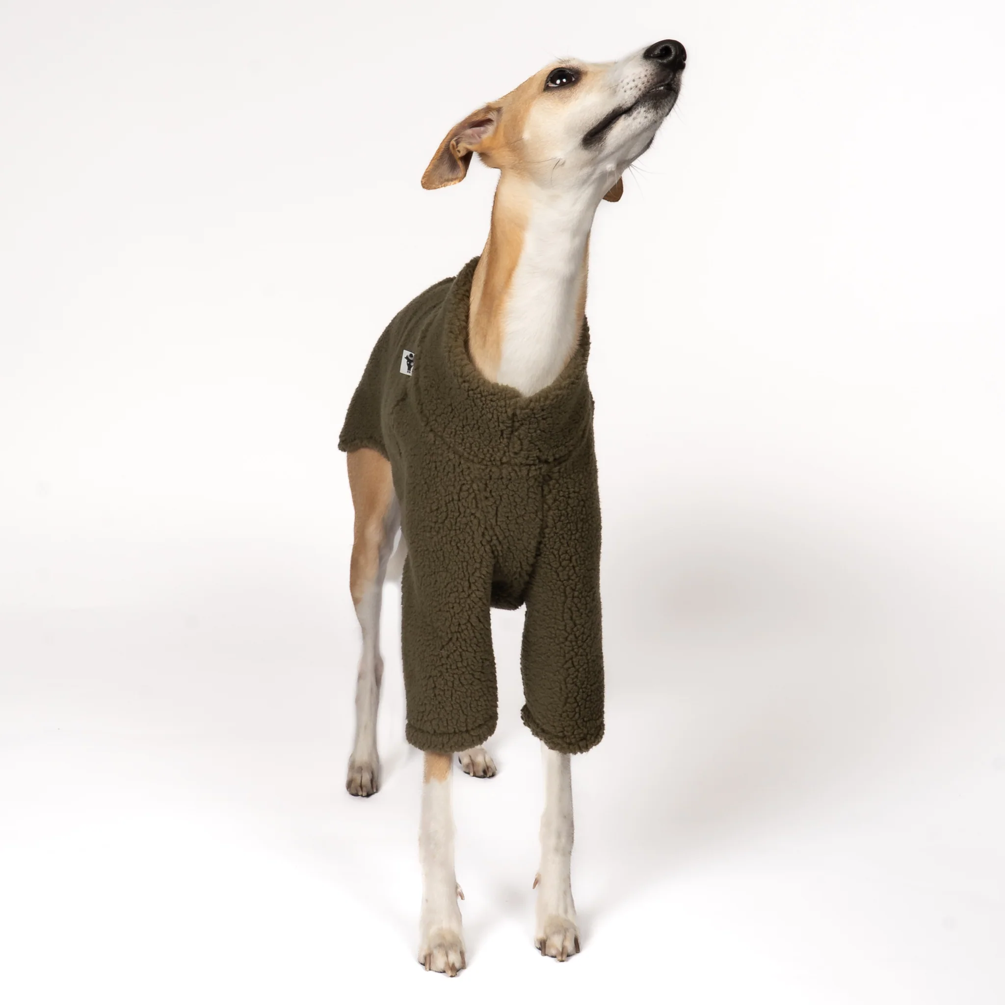 TEDDY PULLOVER Windhund Dark Olive - Image 6