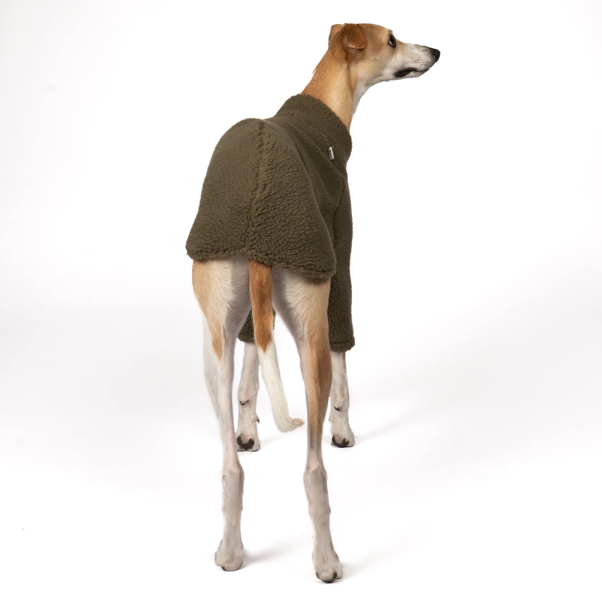 TEDDY PULLOVER Windhund Dark Olive - Image 7