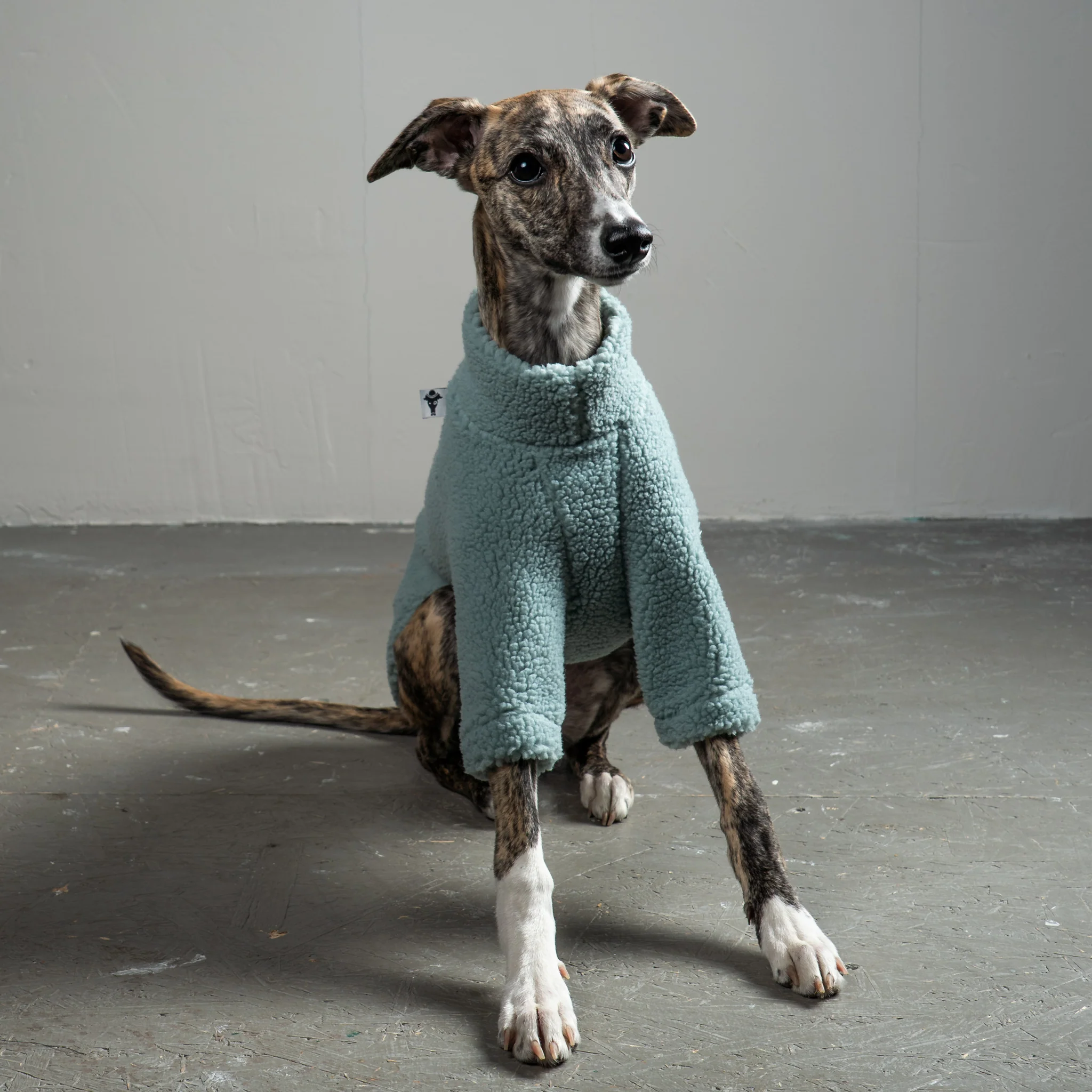 TEDDY PULLOVER Windhund Mint - Image 2