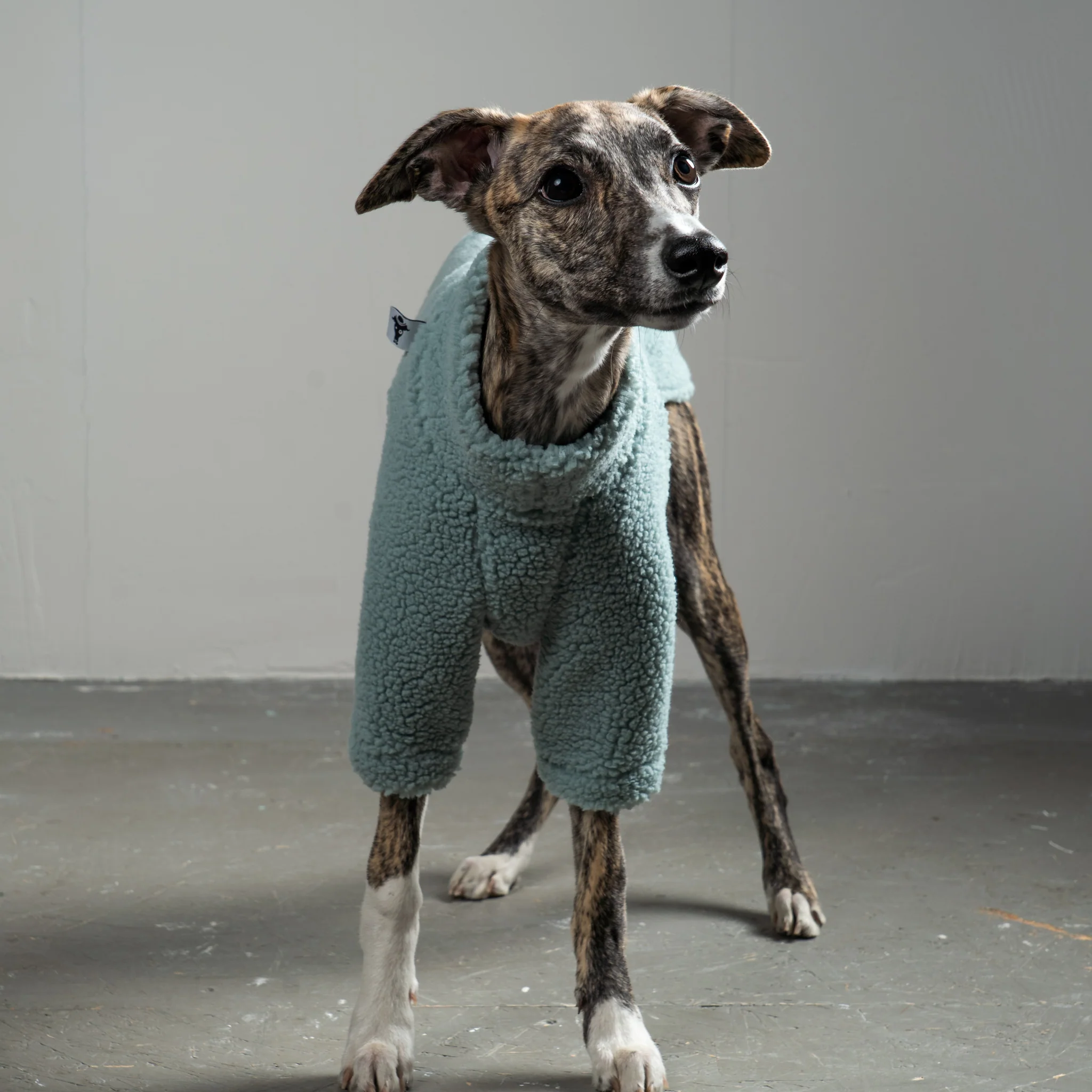 TEDDY PULLOVER Windhund Mint - Image 4