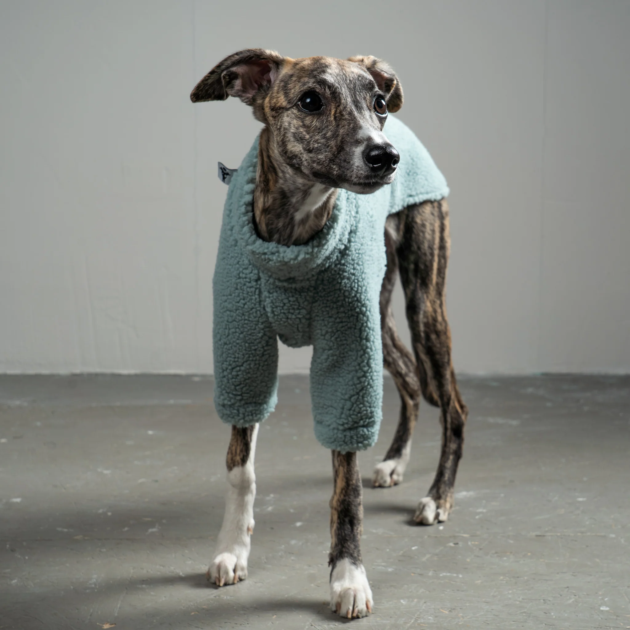 TEDDY PULLOVER Windhund Mint - Image 5
