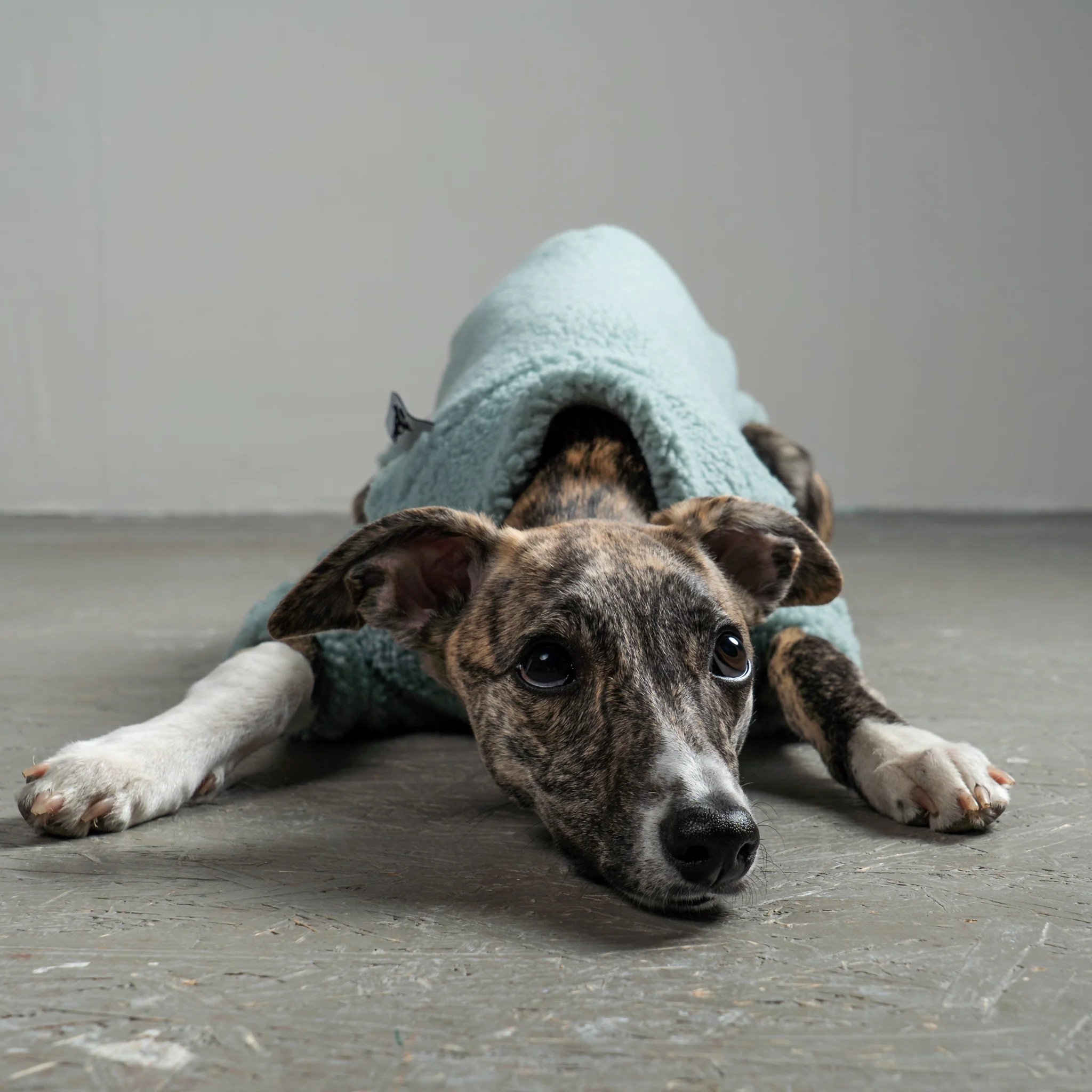 TEDDY PULLOVER Windhund Mint - Image 6
