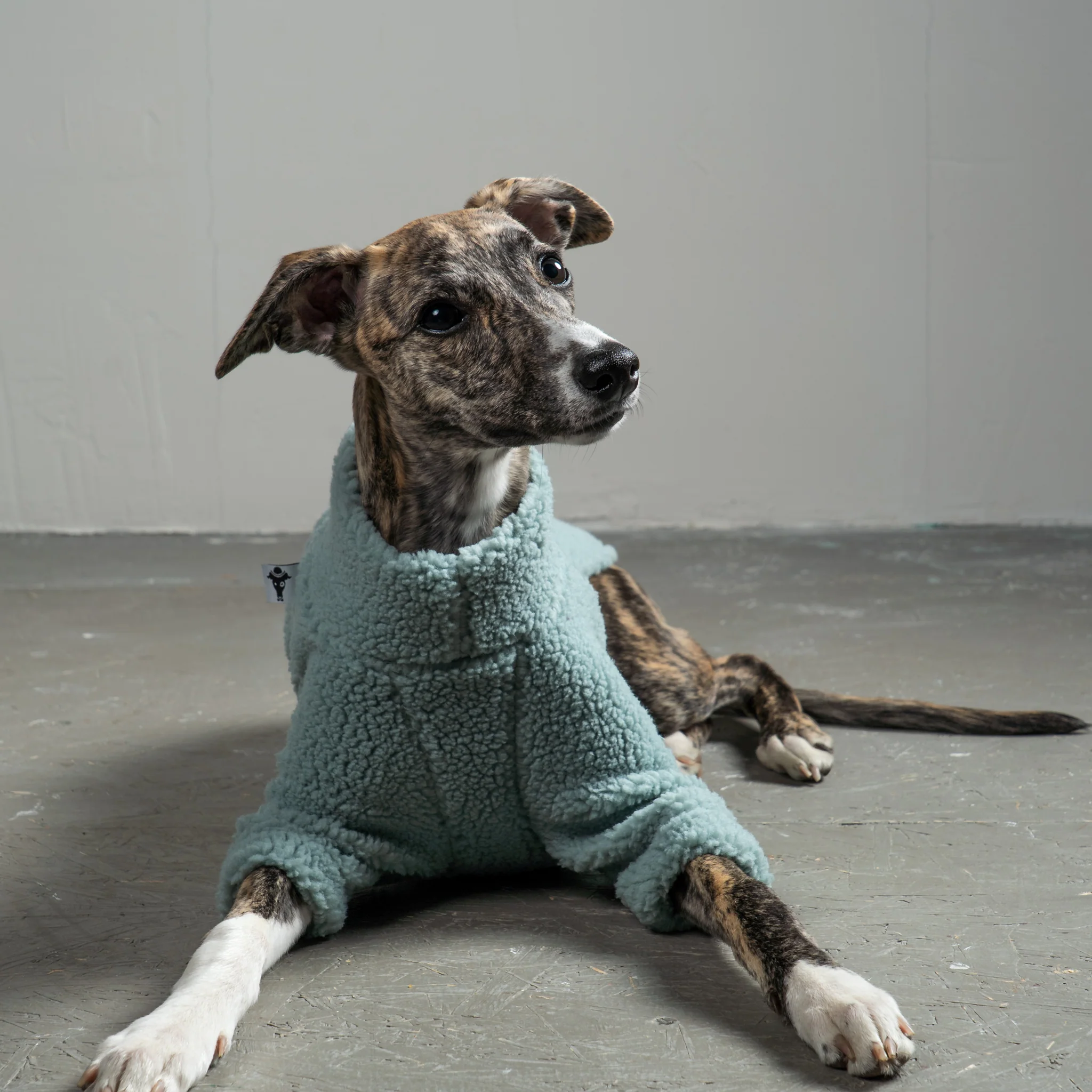 TEDDY PULLOVER Windhund Mint - Image 7