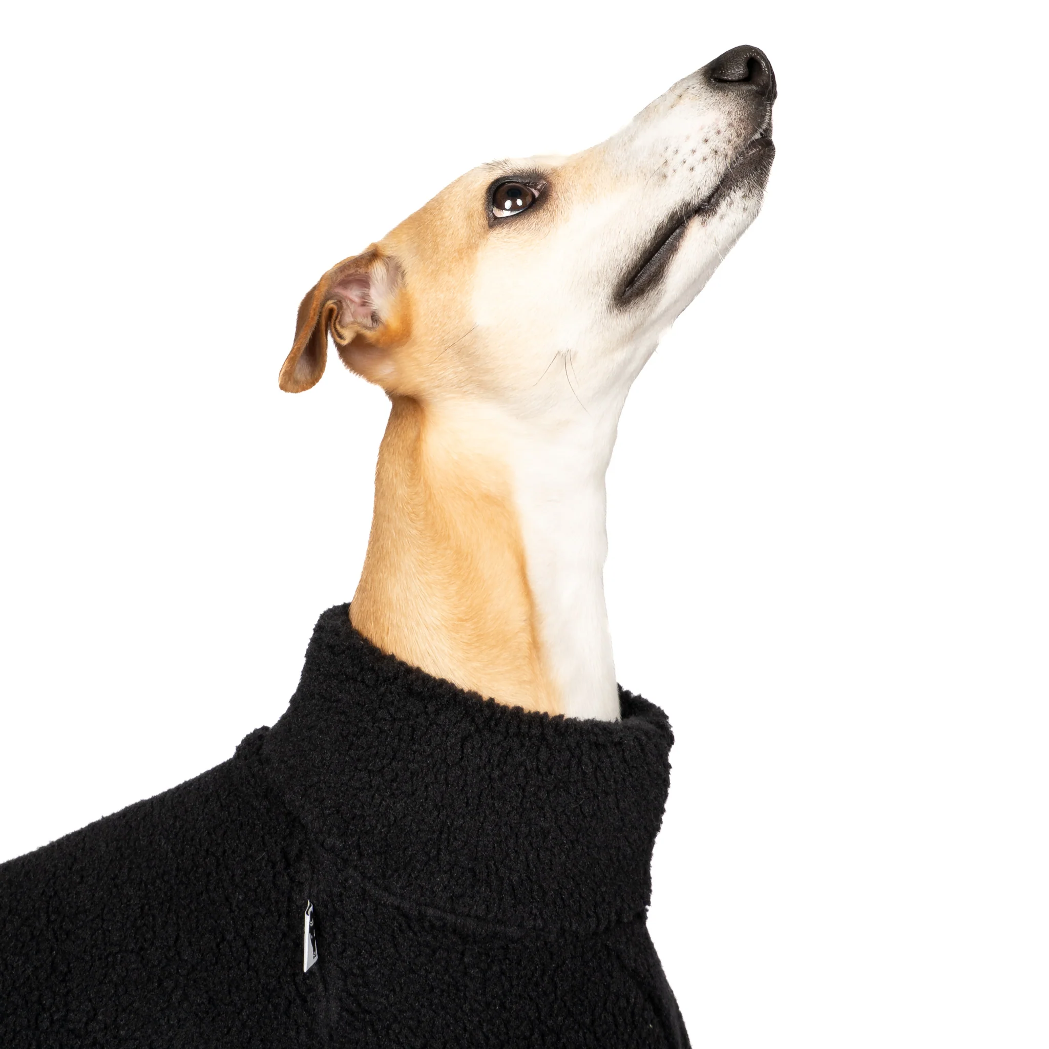 TEDDY PULLOVER Windhund Schwarz - Image 5